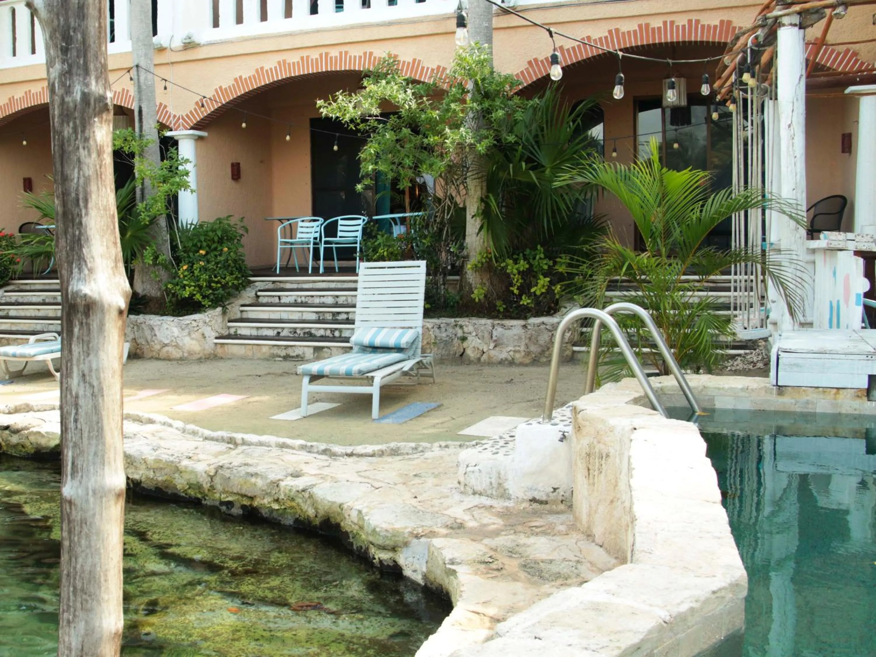 Swimming pool in Chez Waffle Hotel