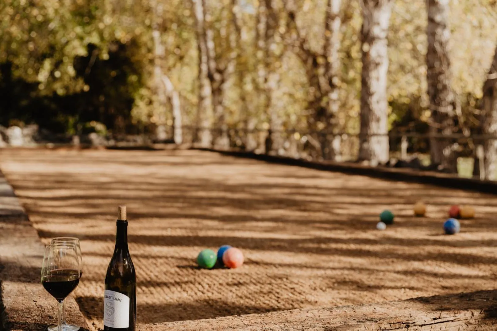 Entertainment in Sonoma Coast Villa