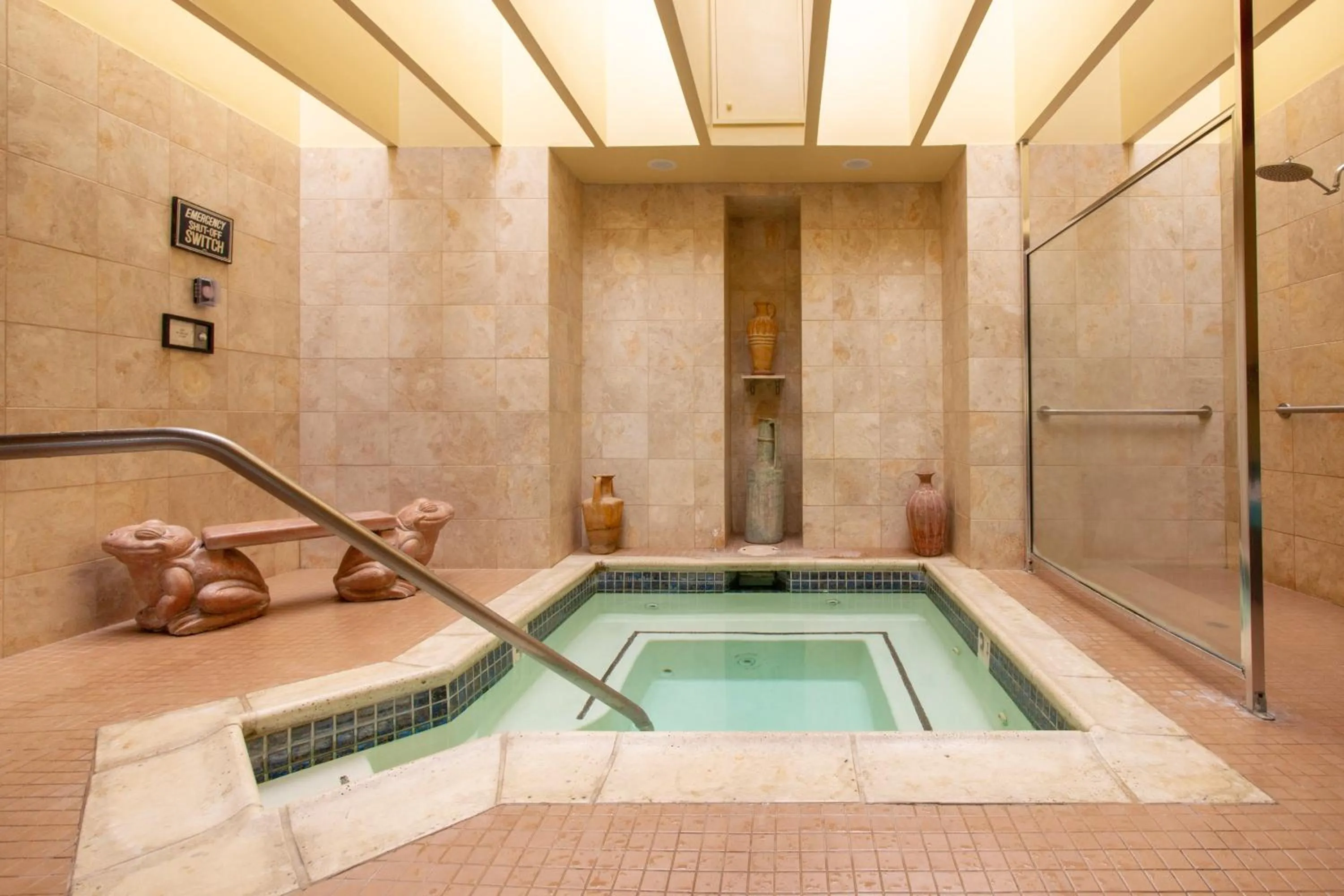 Spa and wellness centre/facilities in Sonoma Coast Villa