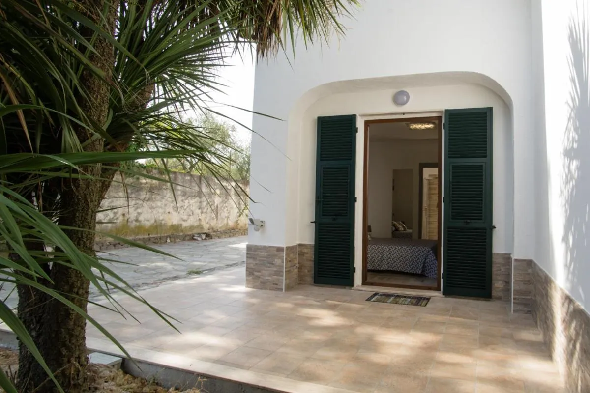 Balcony/Terrace in B&B Zac House