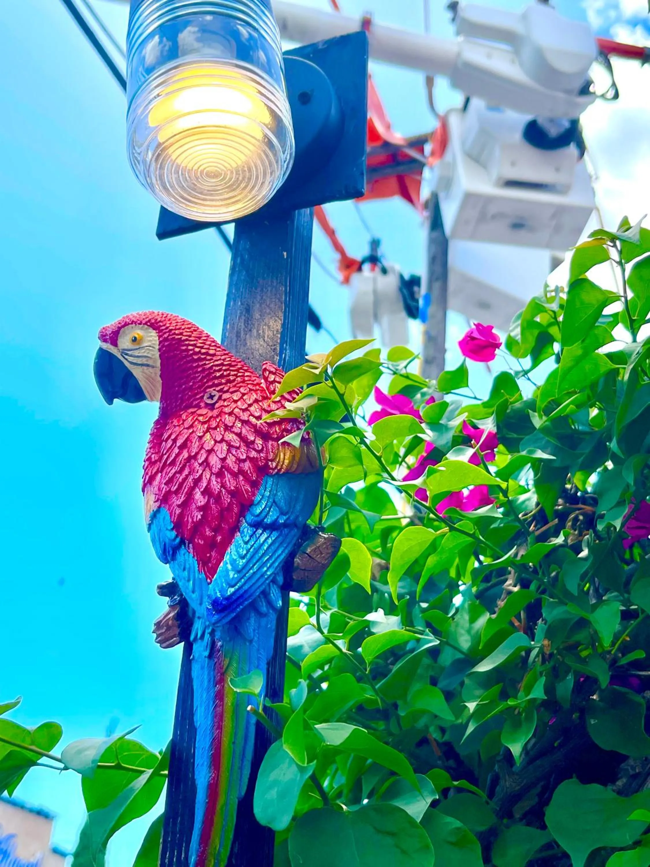 Decorative detail in Habitación Céntrica calle 8 Miami