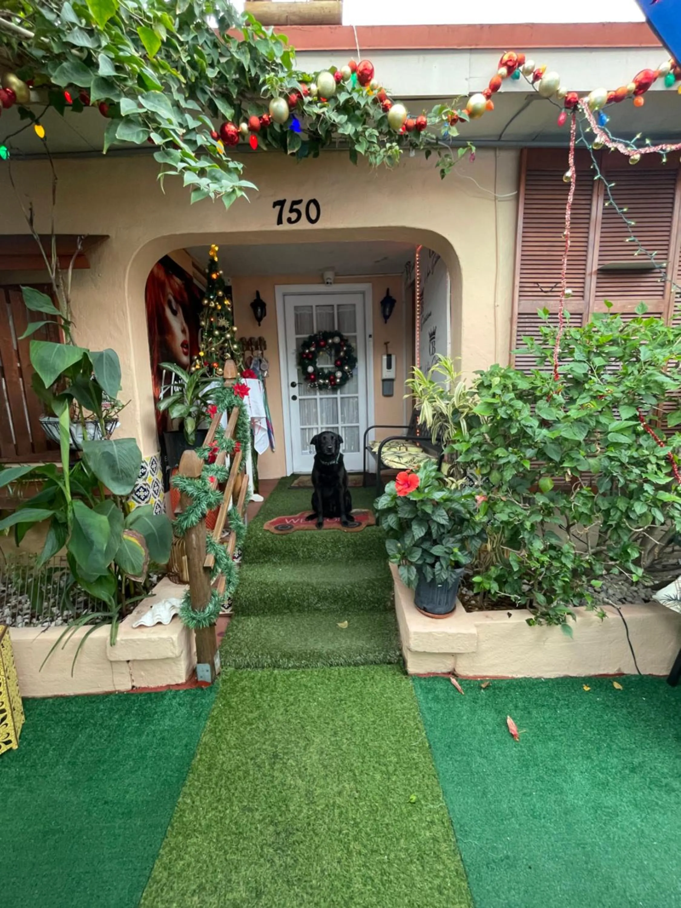 Patio in Habitación Céntrica calle 8 Miami