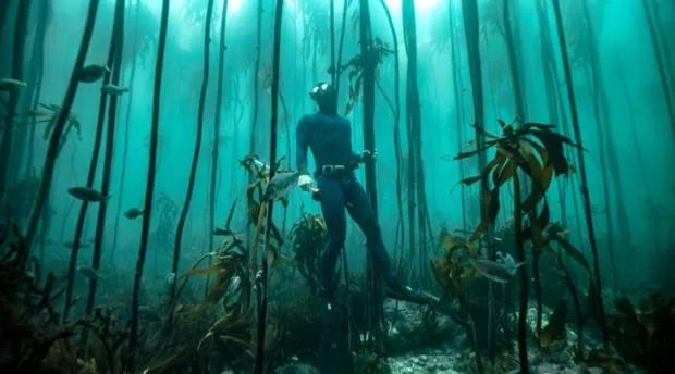 Snorkeling in On The Square Luxury Apartment