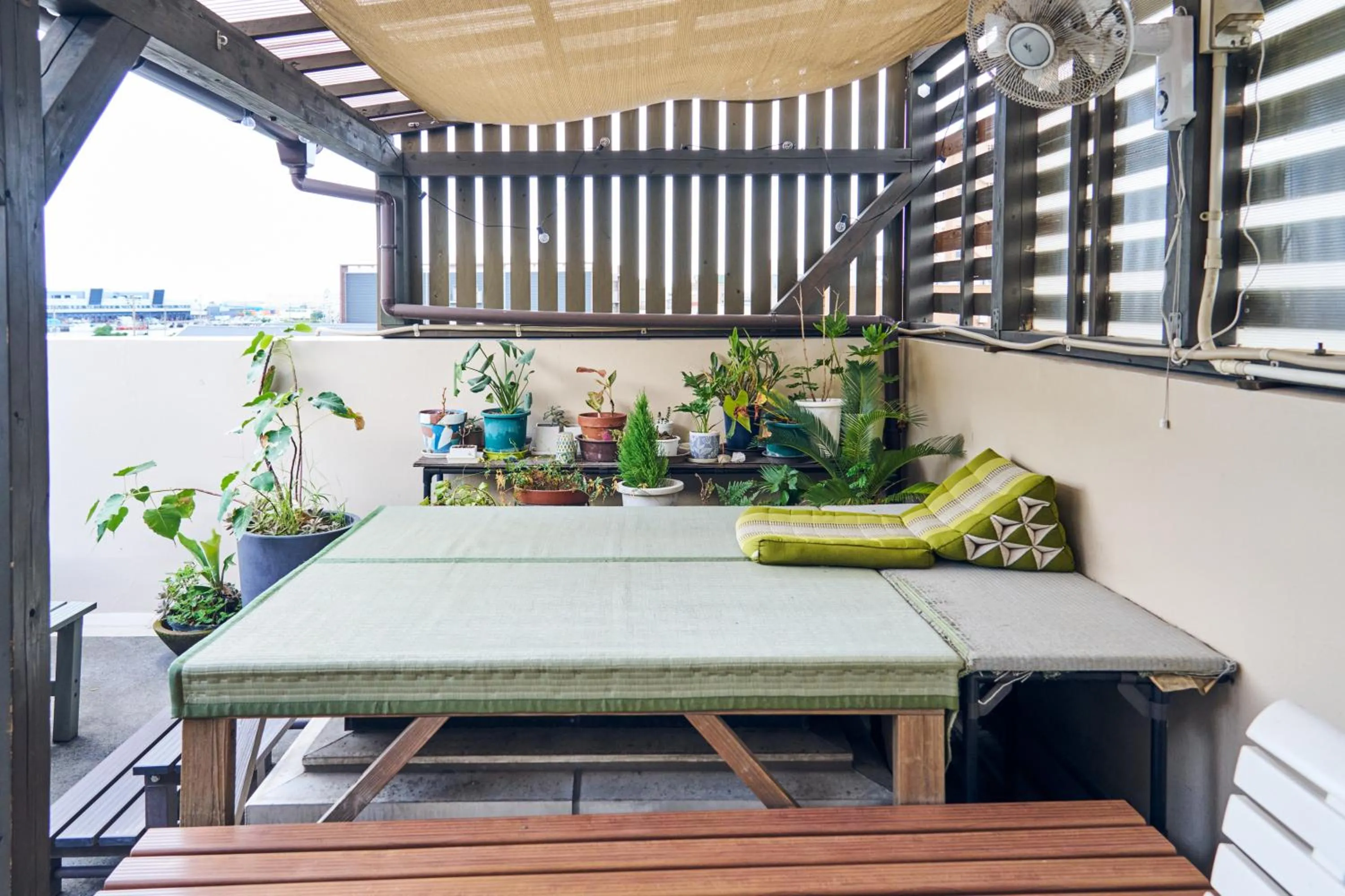 Balcony/Terrace in Green Guesthouse