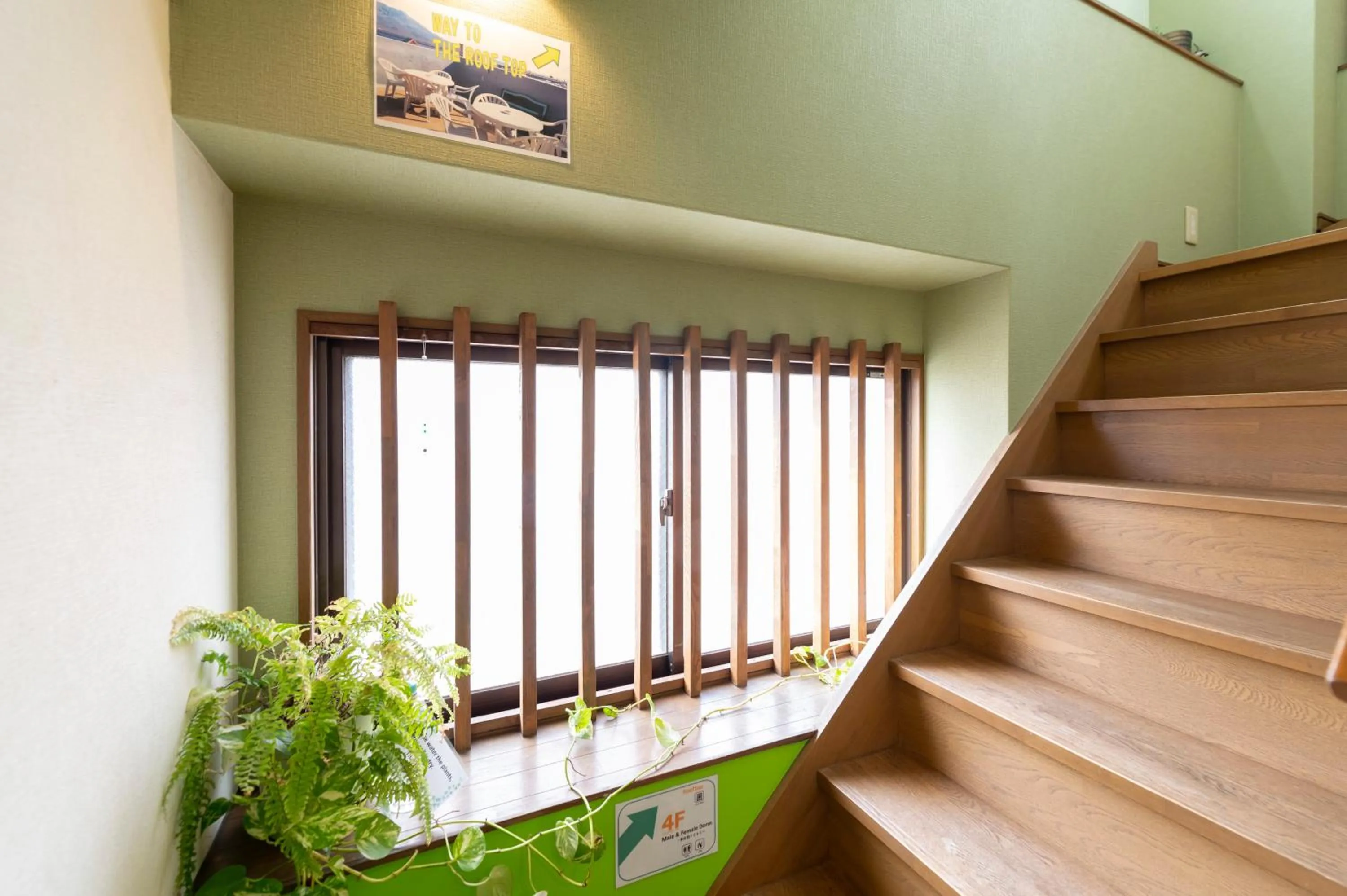 Area and facilities in Green Guesthouse