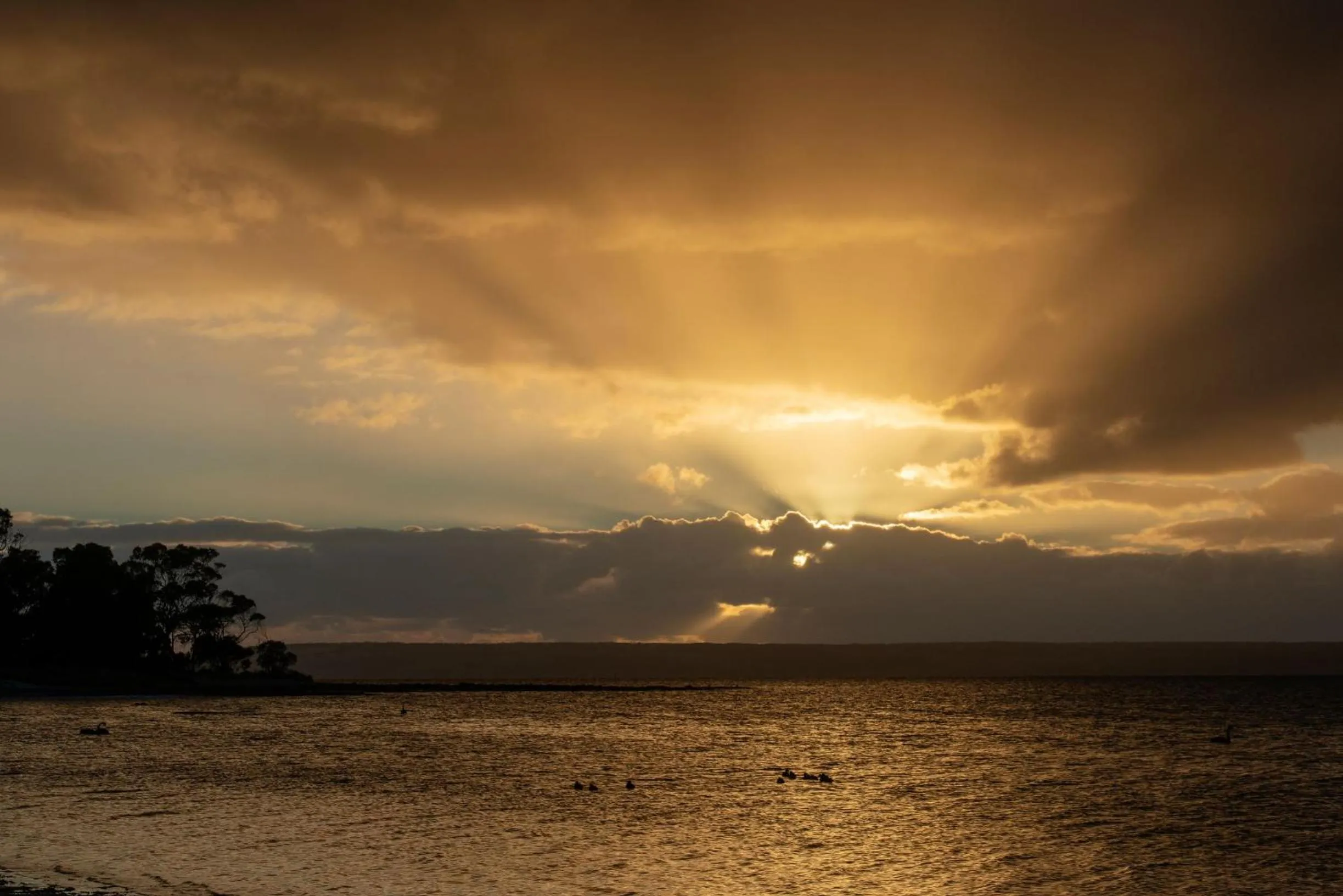 Natural landscape in Mercure Kangaroo Island Lodge