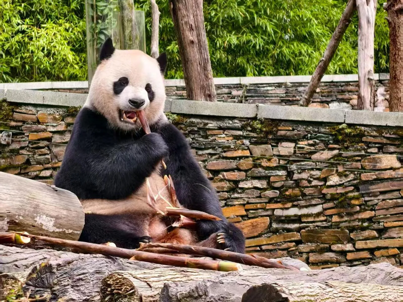 Nearby landmark in Holiday Inn Chengdu Oriental Plaza