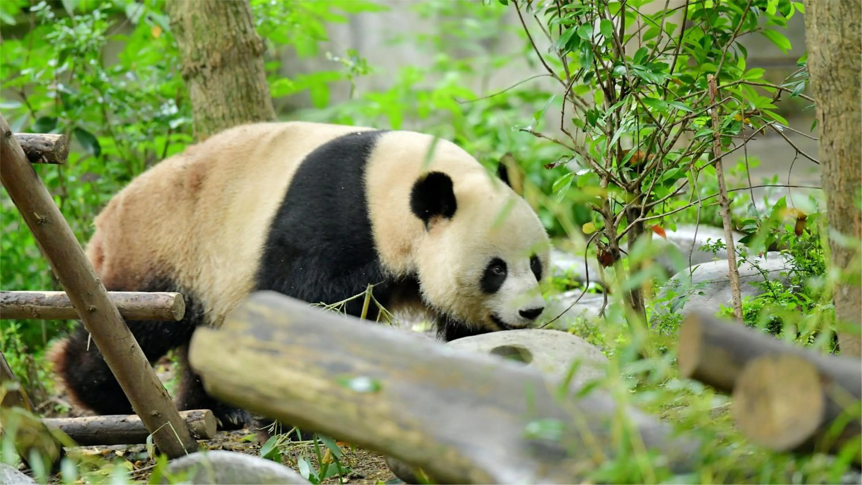 Nearby landmark in Holiday Inn Chengdu Oriental Plaza
