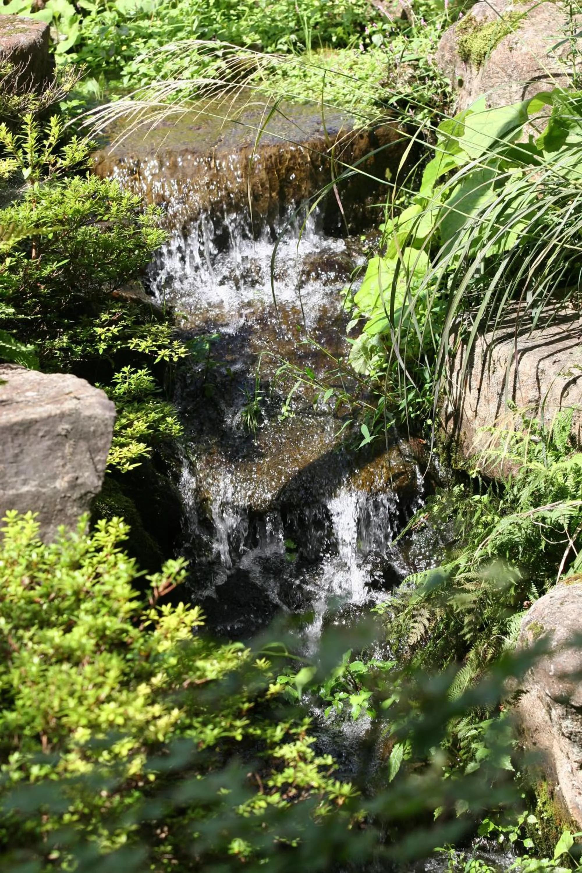 Garden in Nakamurakan