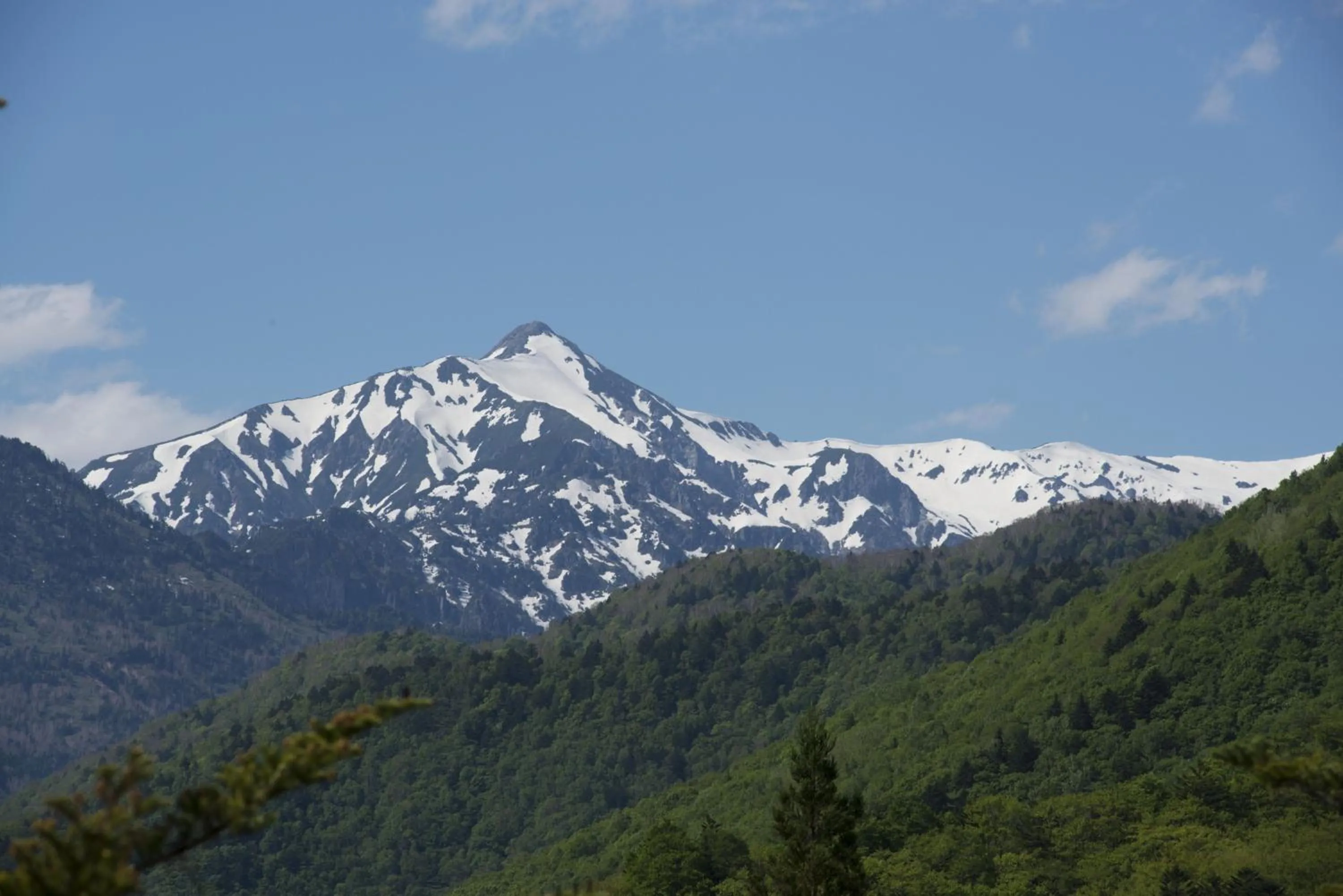 Neighbourhood in Nakamurakan