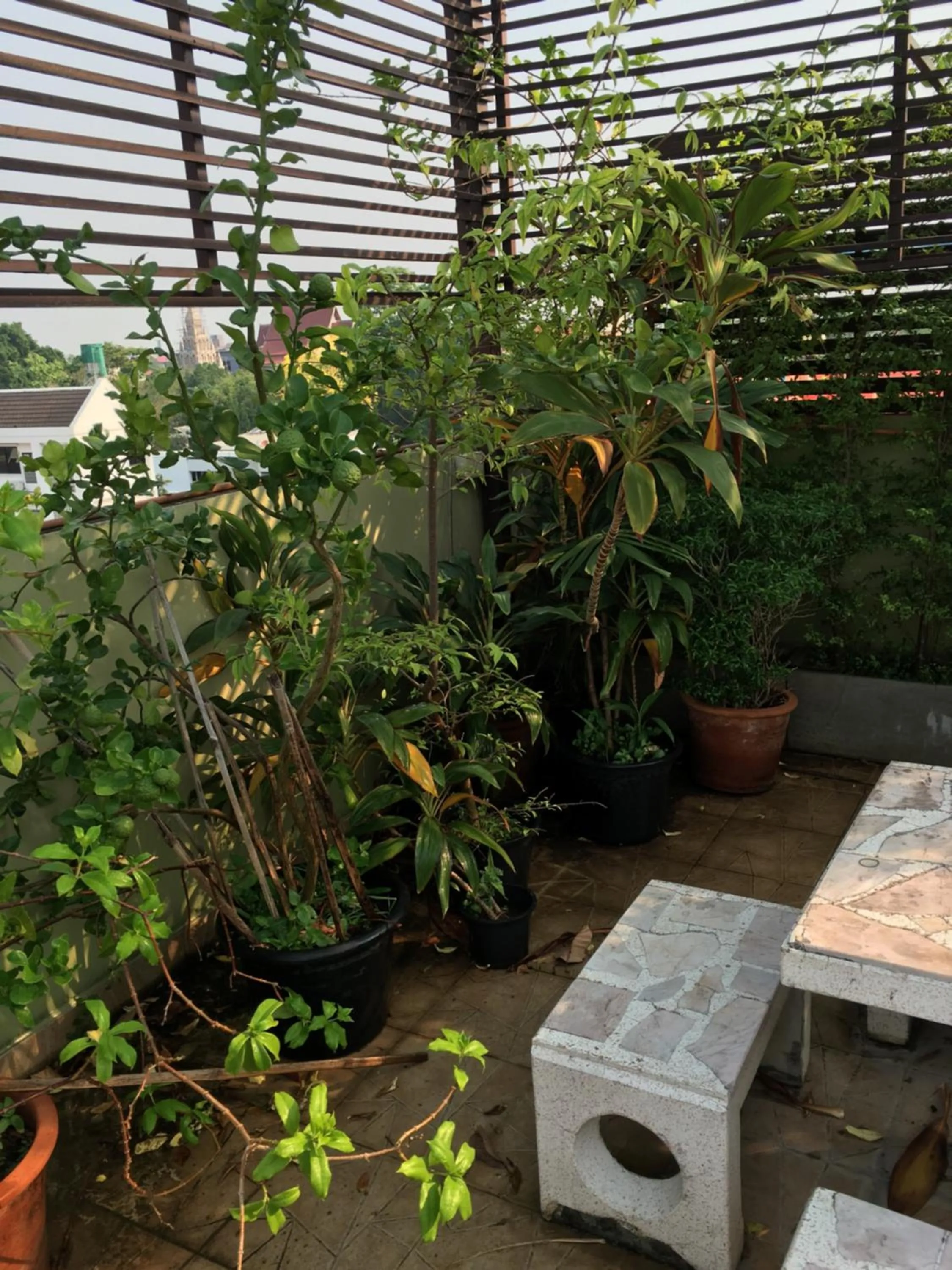 Baan Thalang @ Chiang Mai