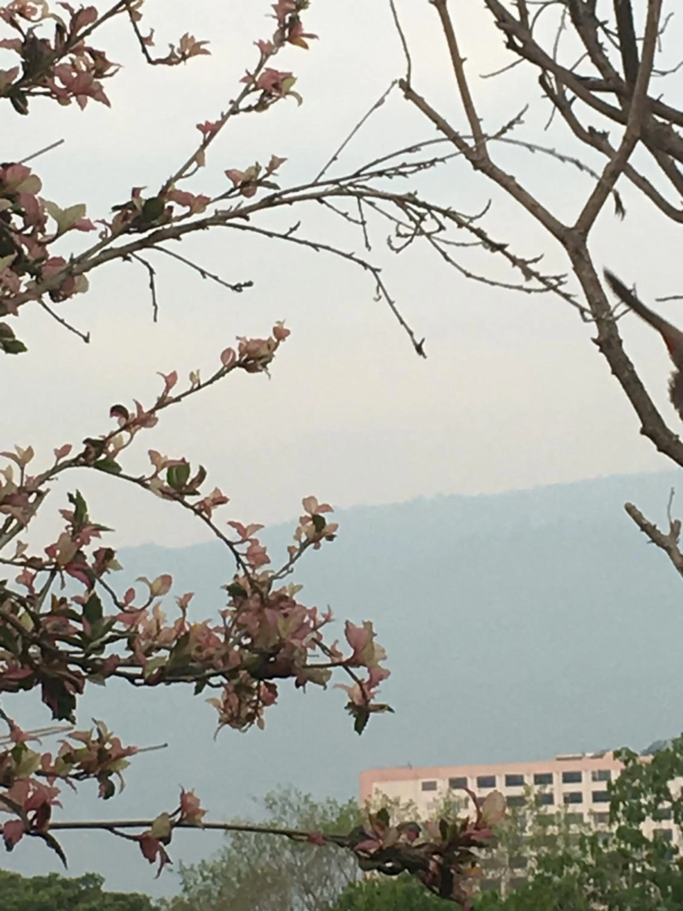 Baan Thalang @ Chiang Mai