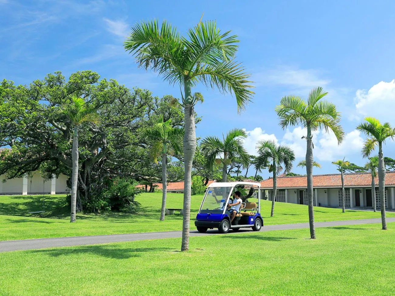 Property building in Haimurubushi