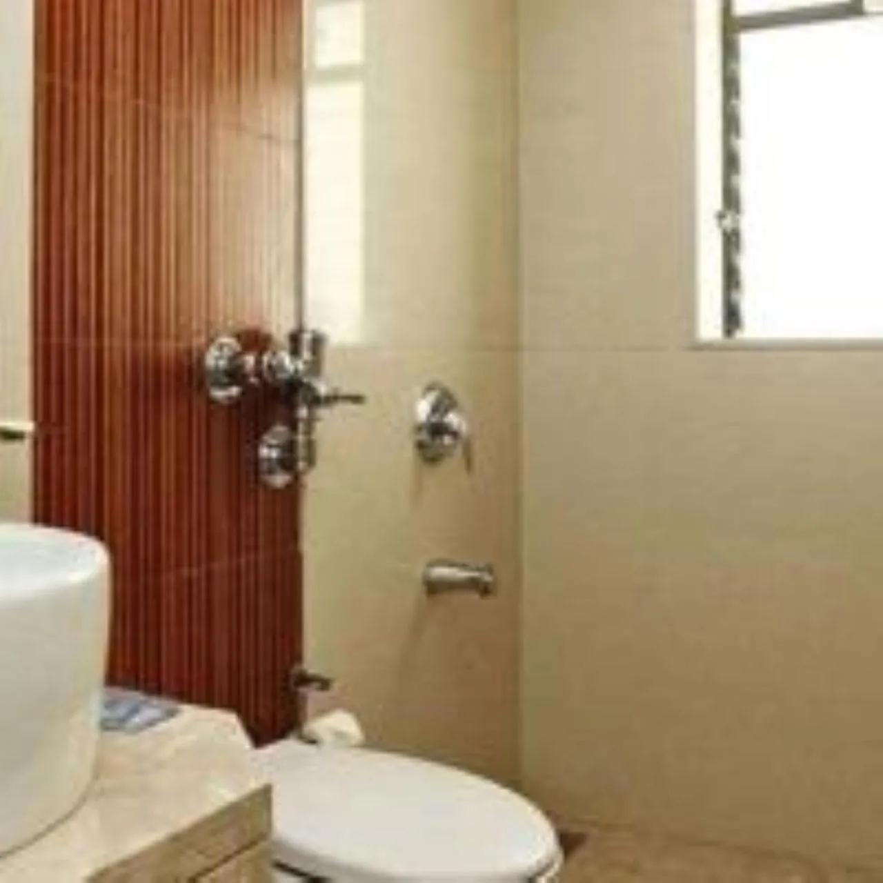Bathroom in Lalco Residency