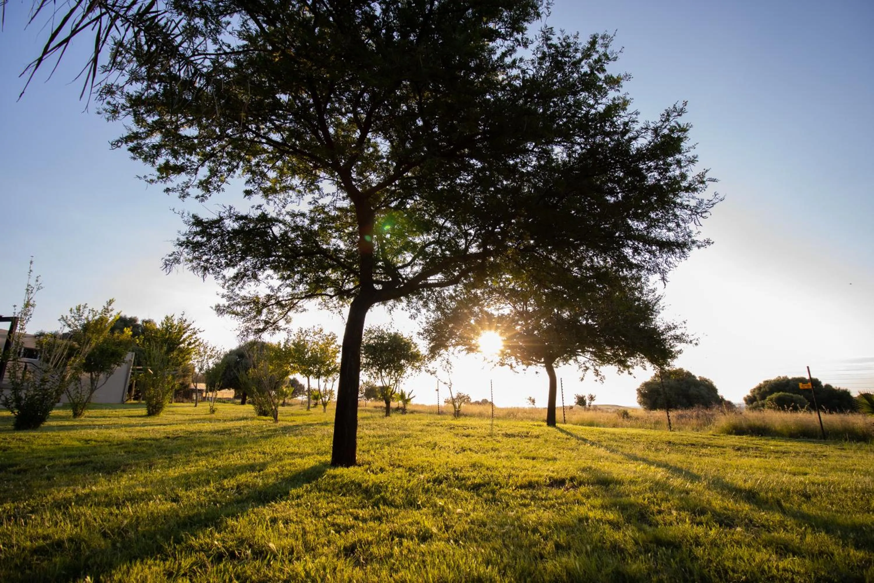 Day in Summer PALACE Guesthouse