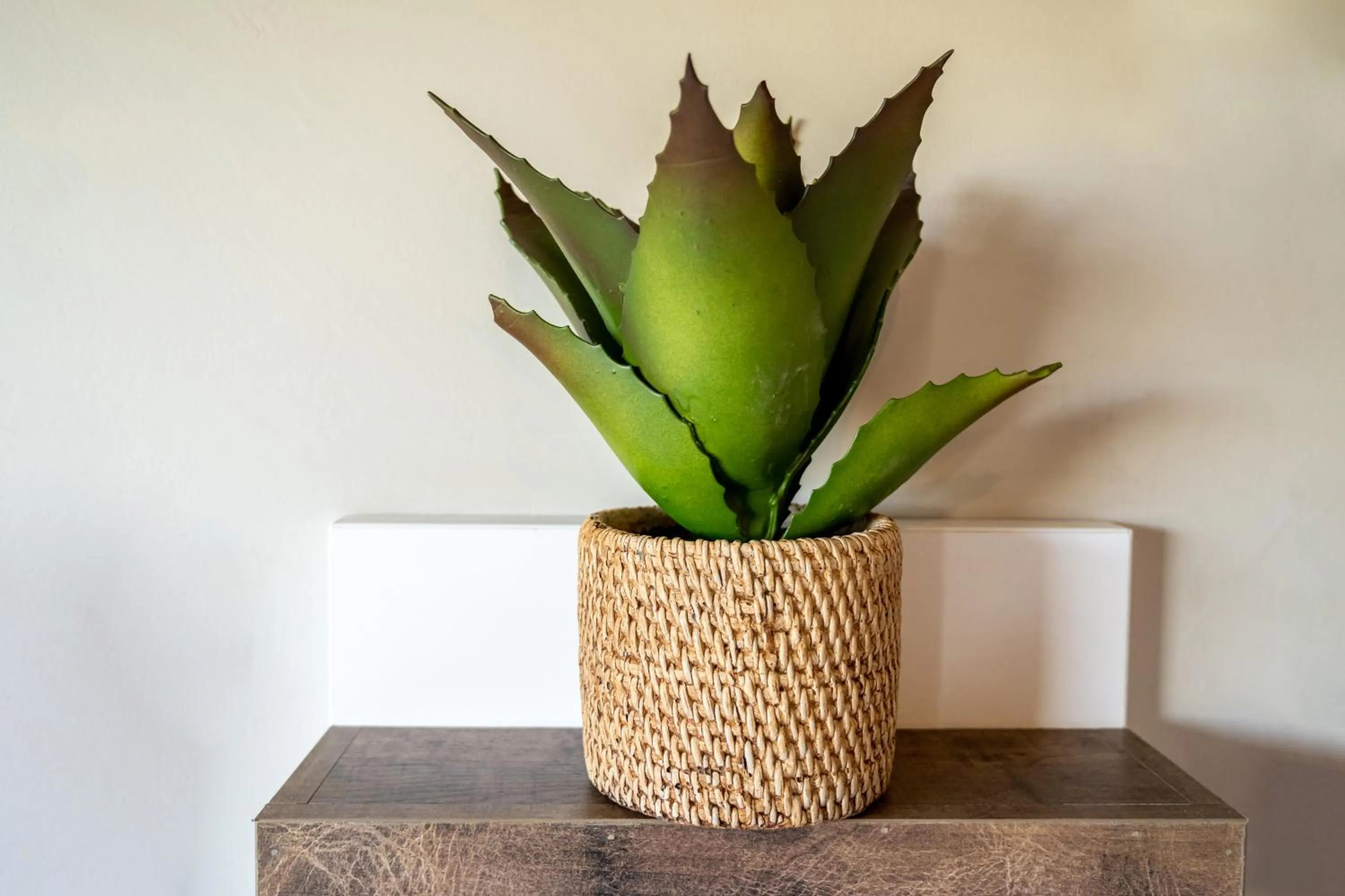 Summer PALACE Guesthouse