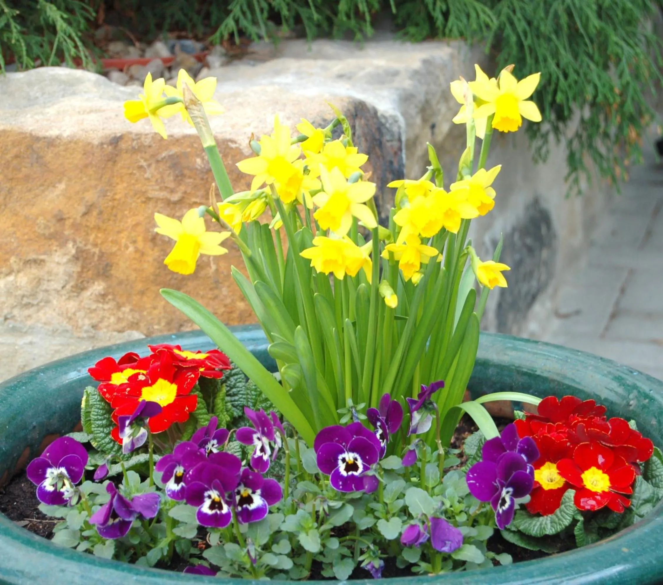 Day in Apartment Dresden Neustadt