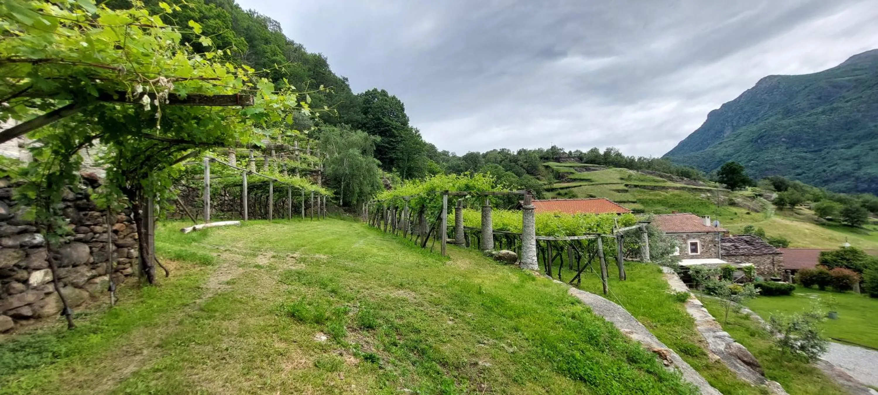 Garden in Relais del Brigante