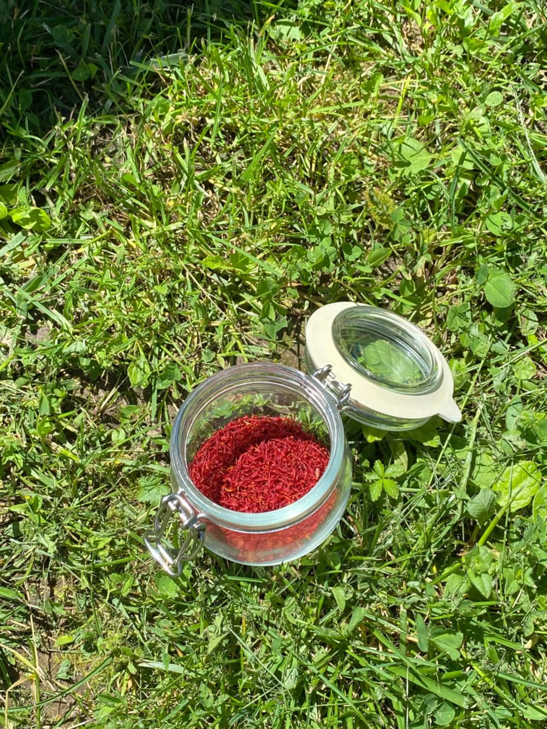 Restaurant/places to eat in Relais del Brigante