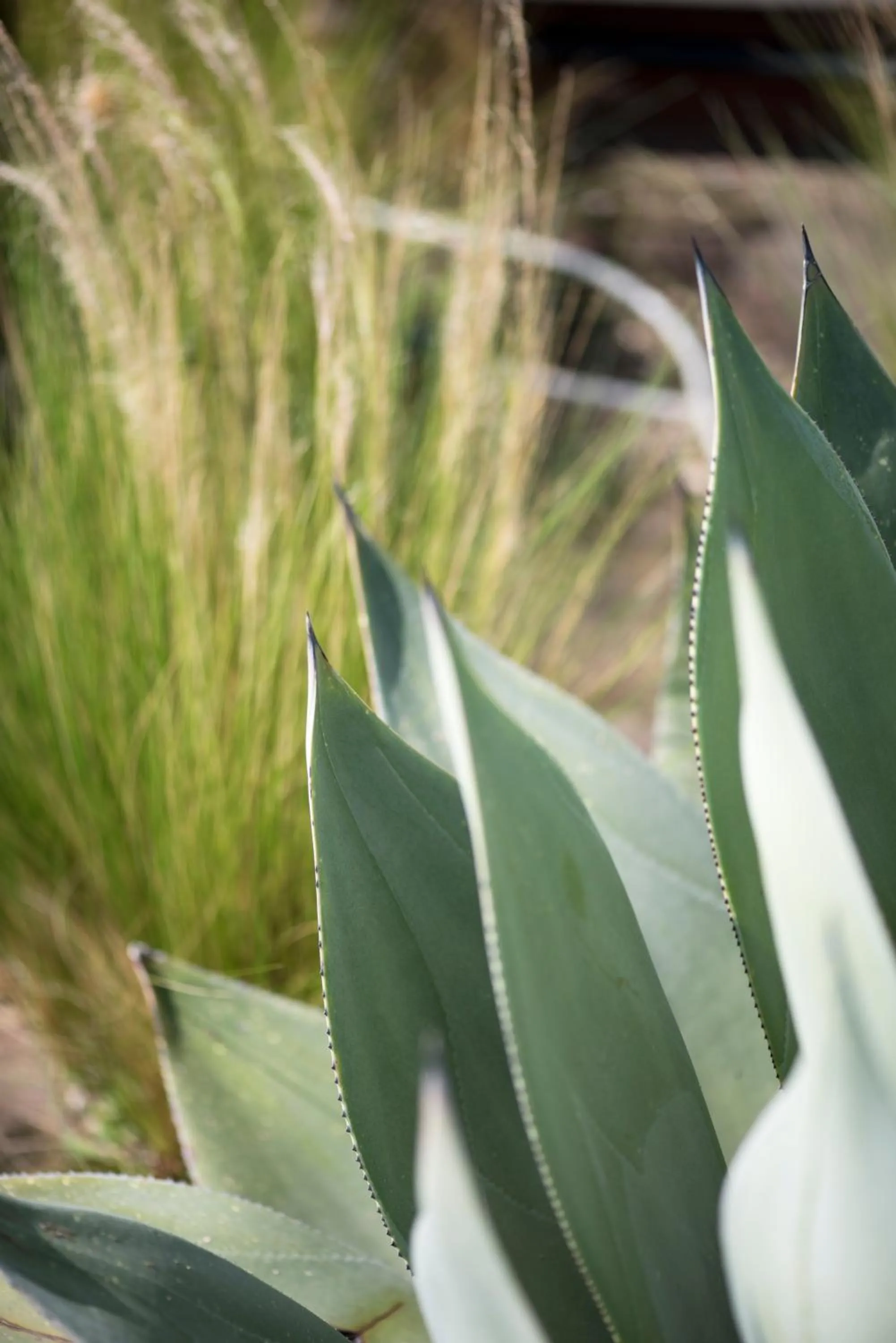 Other in Aquae Sinis Albergo Diffuso