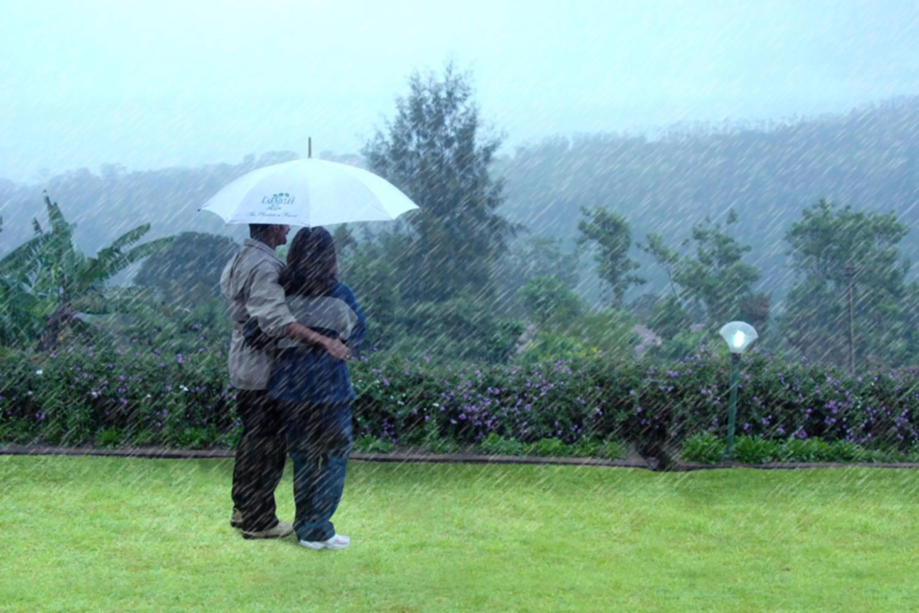 Area and facilities in Carmelia Haven Resort Thekkady