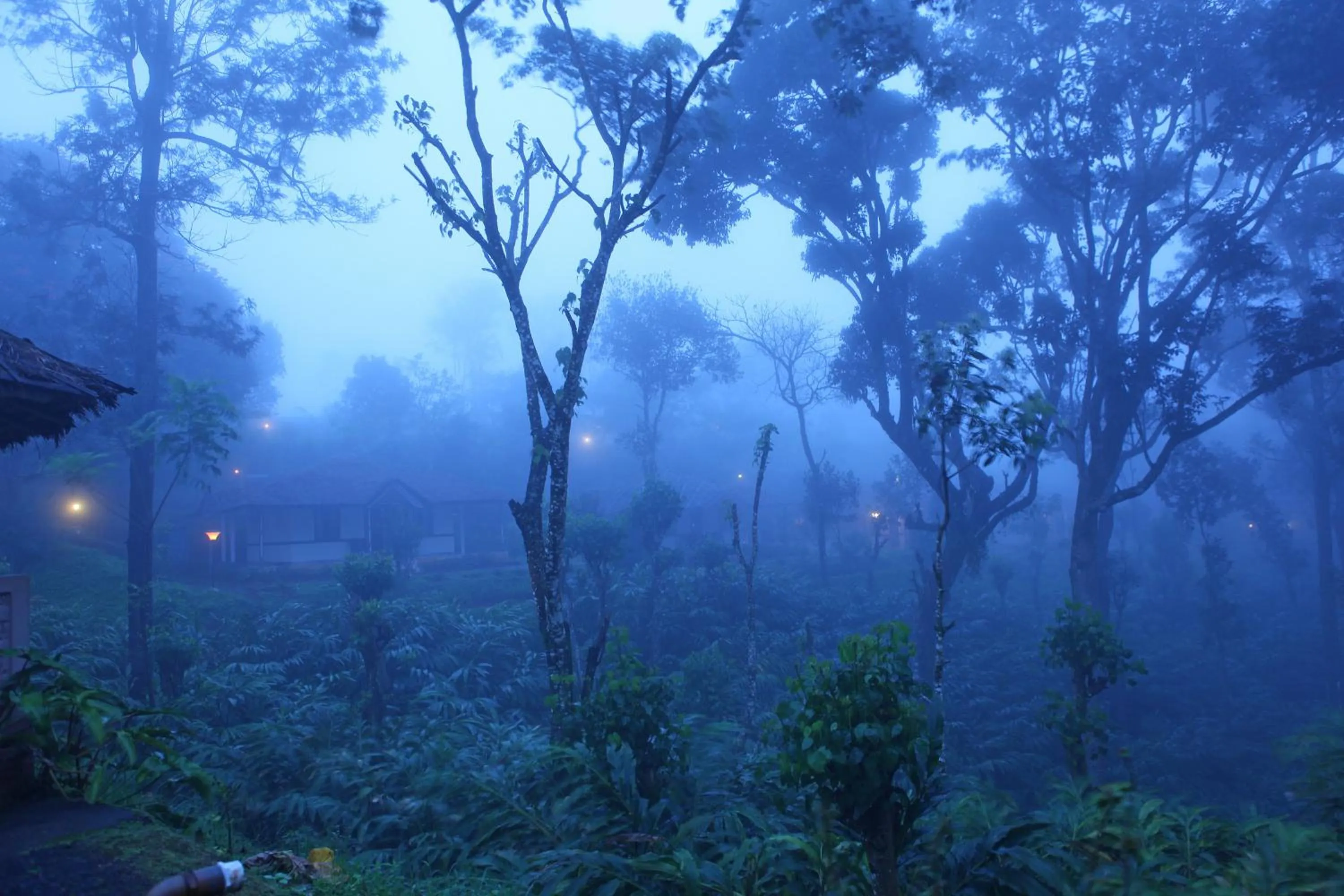 Facade/entrance in Carmelia Haven Resort Thekkady