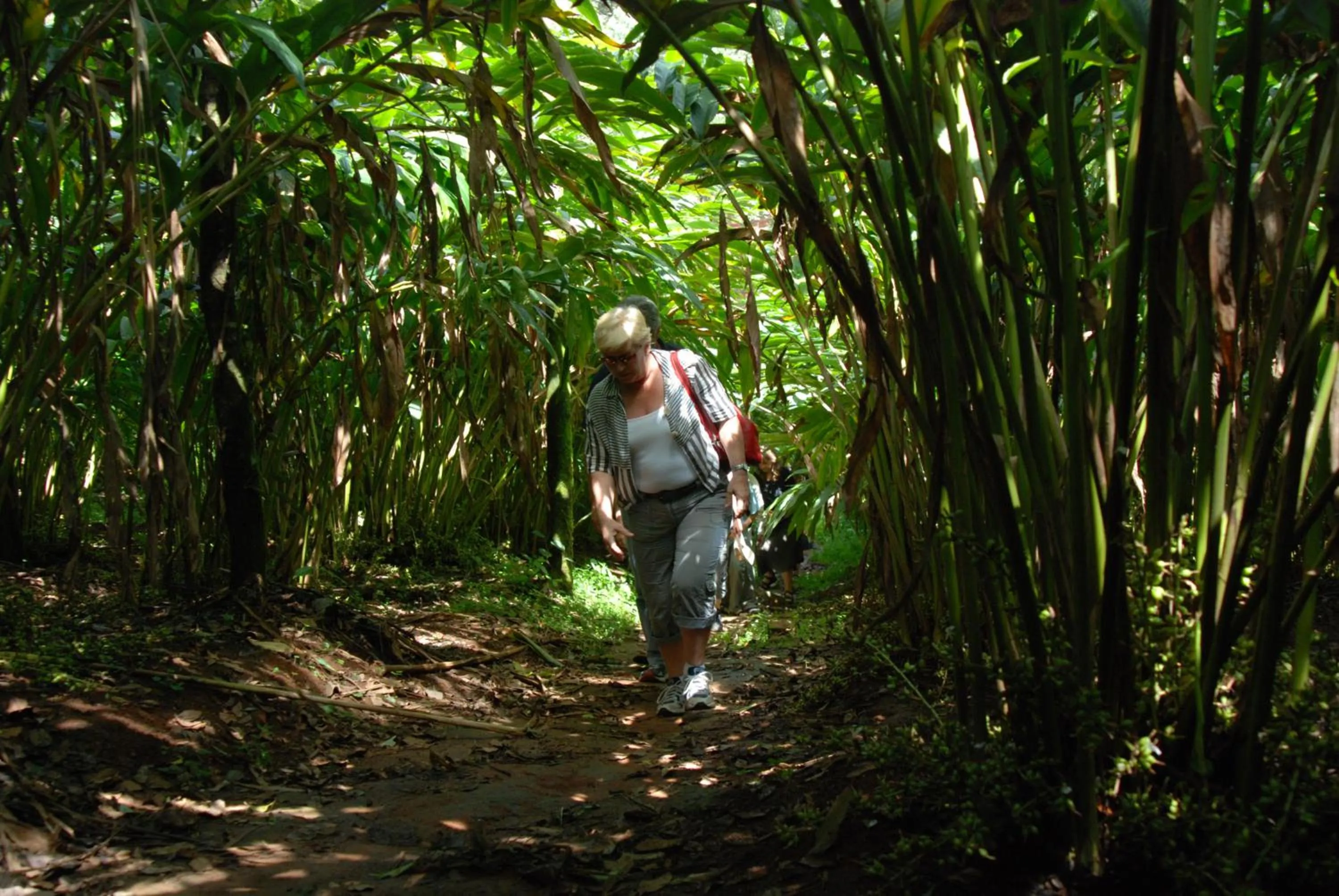 Garden in Carmelia Haven Resort Thekkady