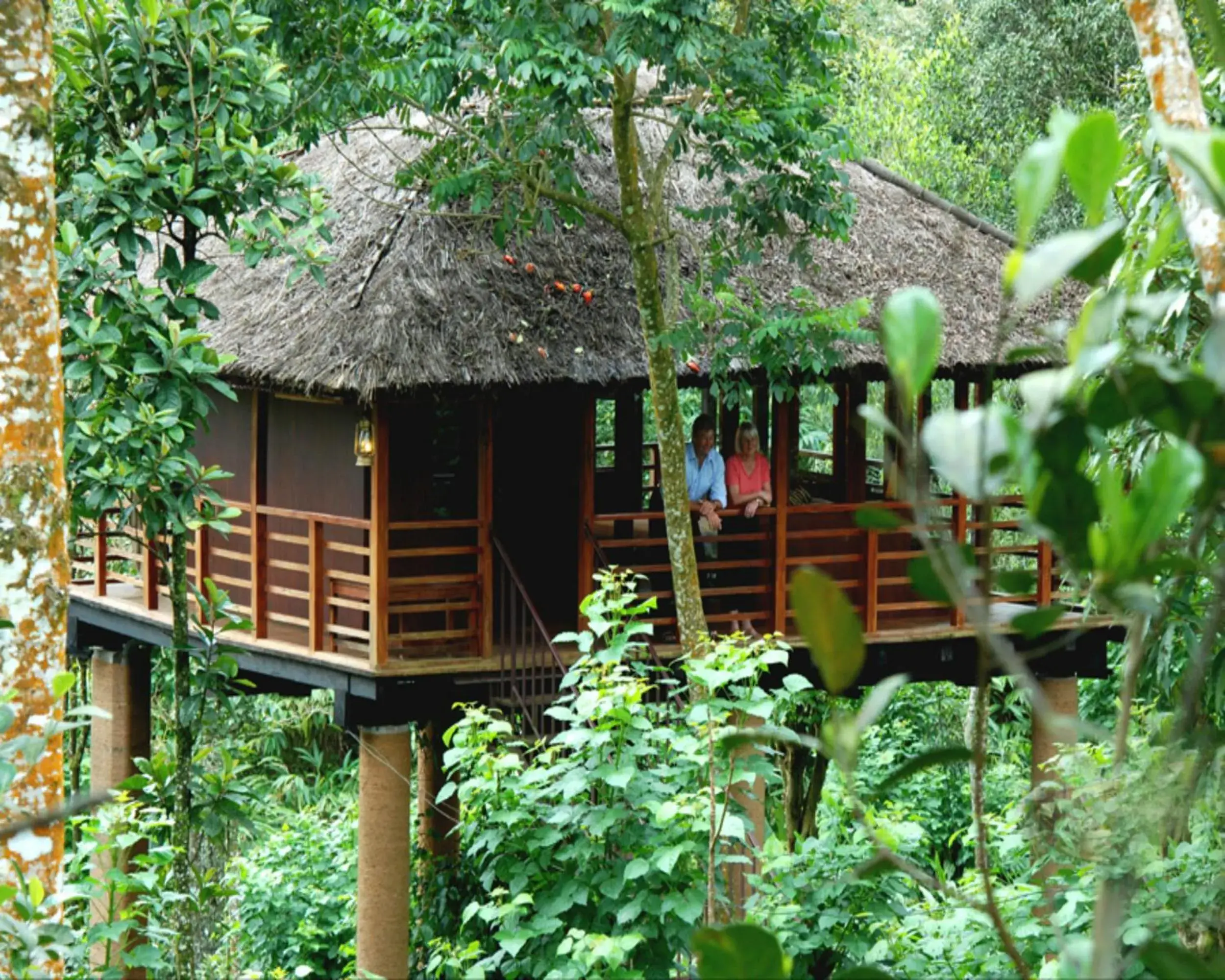 Tree House in Carmelia Haven Resort Thekkady Tree House in Carmelia Haven Resort Thekkady