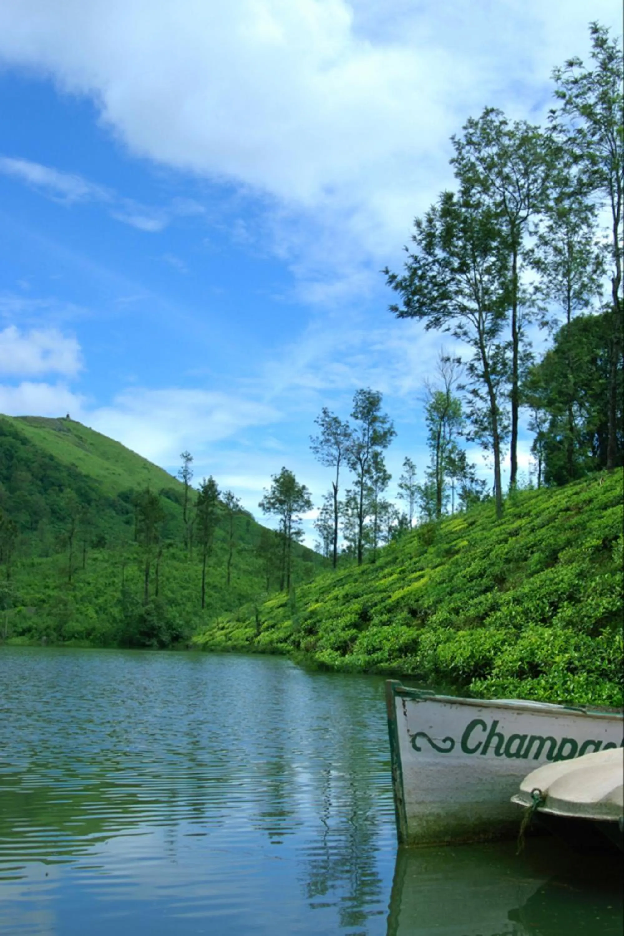 Area and facilities in Carmelia Haven Resort Thekkady