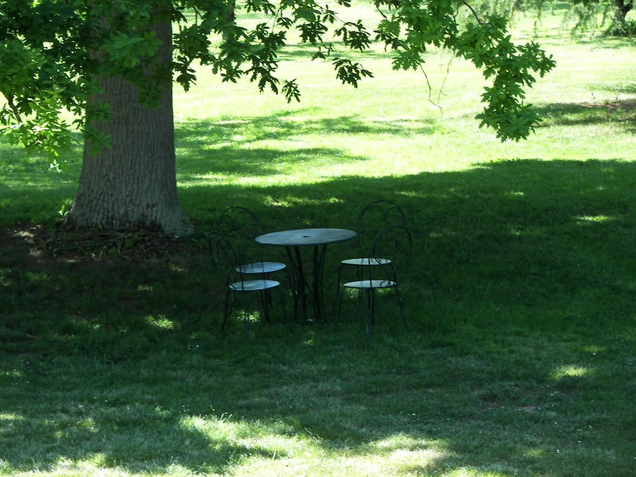Garden in Domaine du Noble