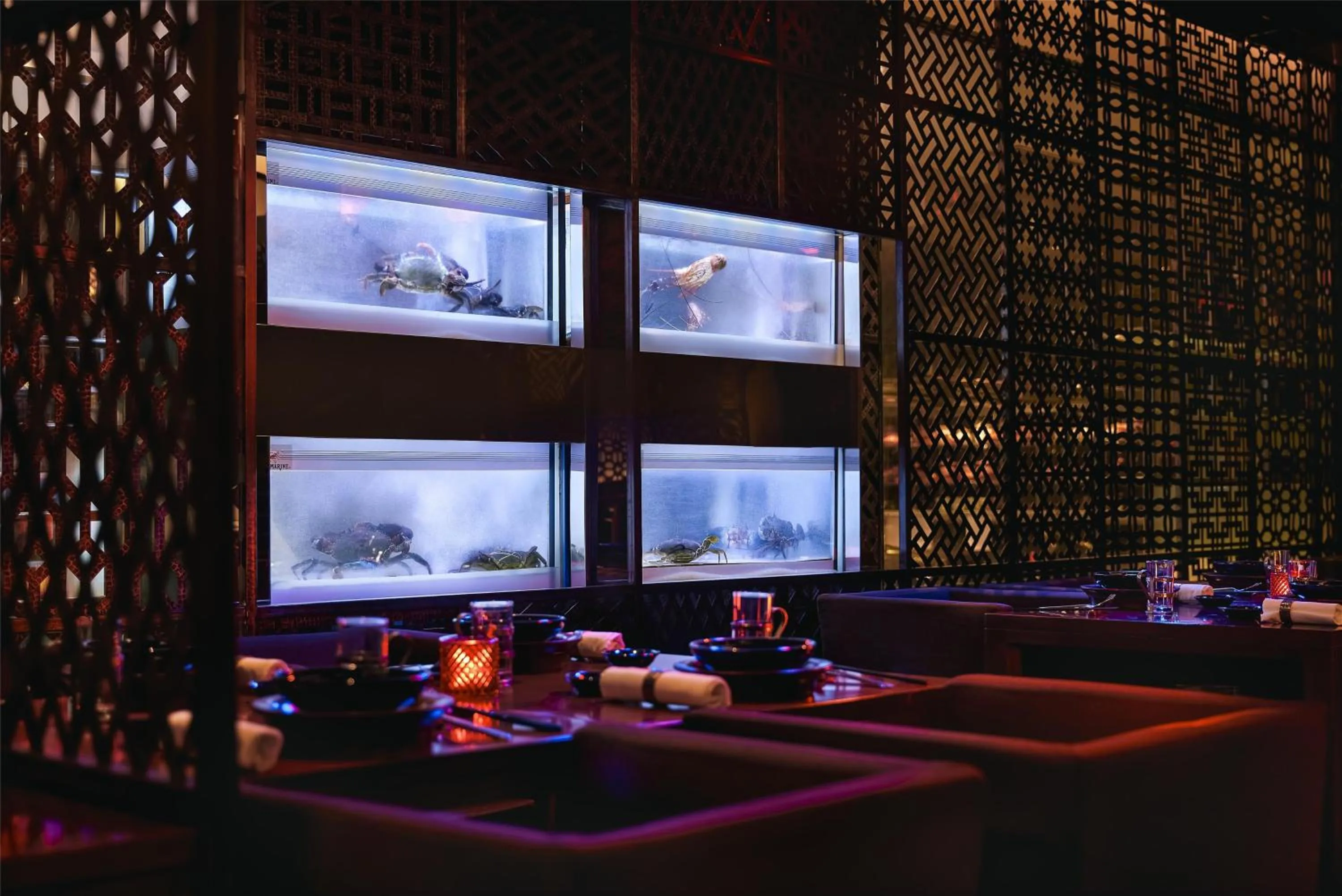 Restaurant/places to eat in Grand Hyatt Mumbai Hotel and Residences