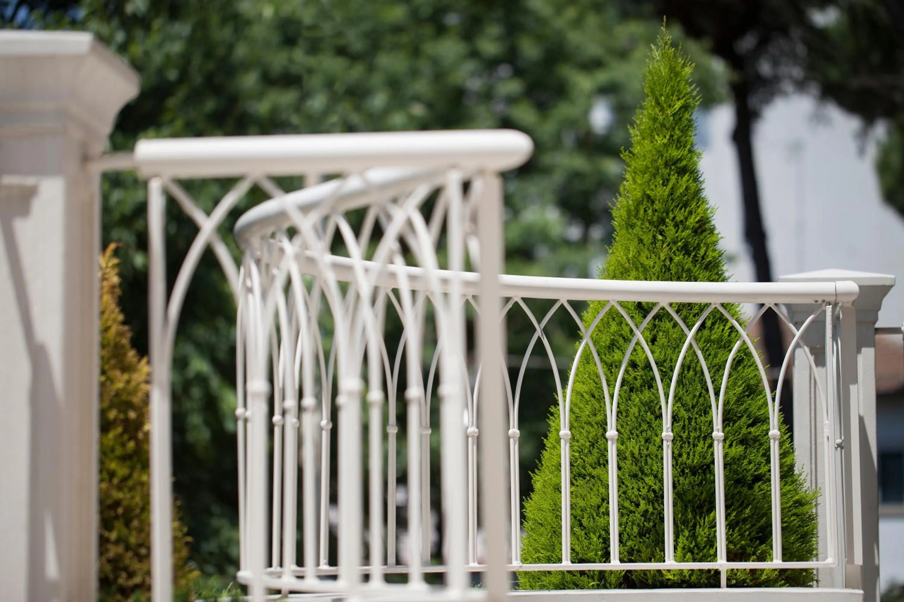 Garden in Hotel Gala