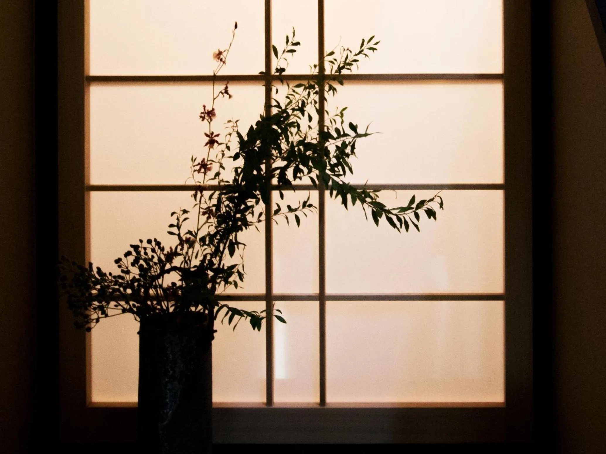 Other in Rinn Kujofujinoki Central