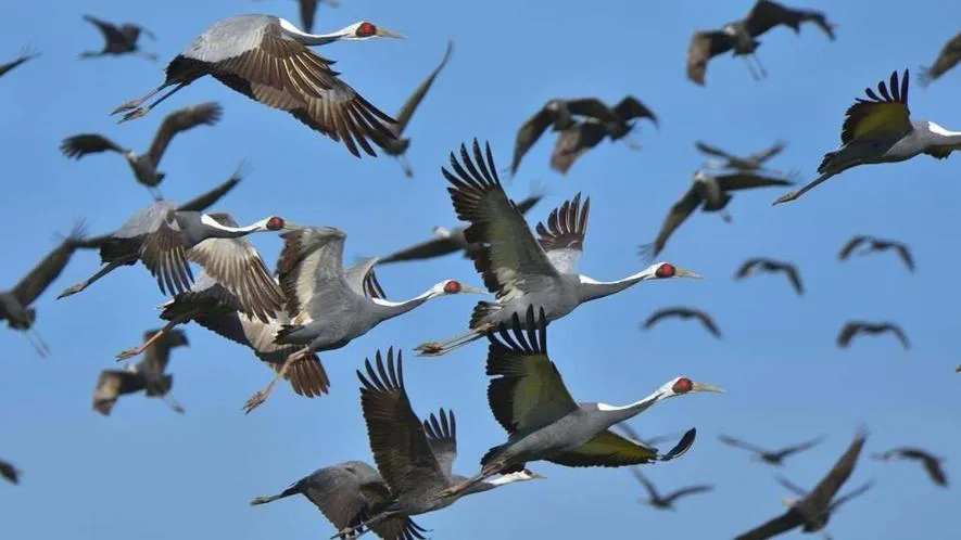 Yunoko Umi To Yuyake