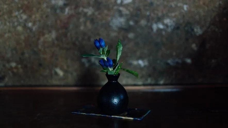 Yunoko Umi To Yuyake