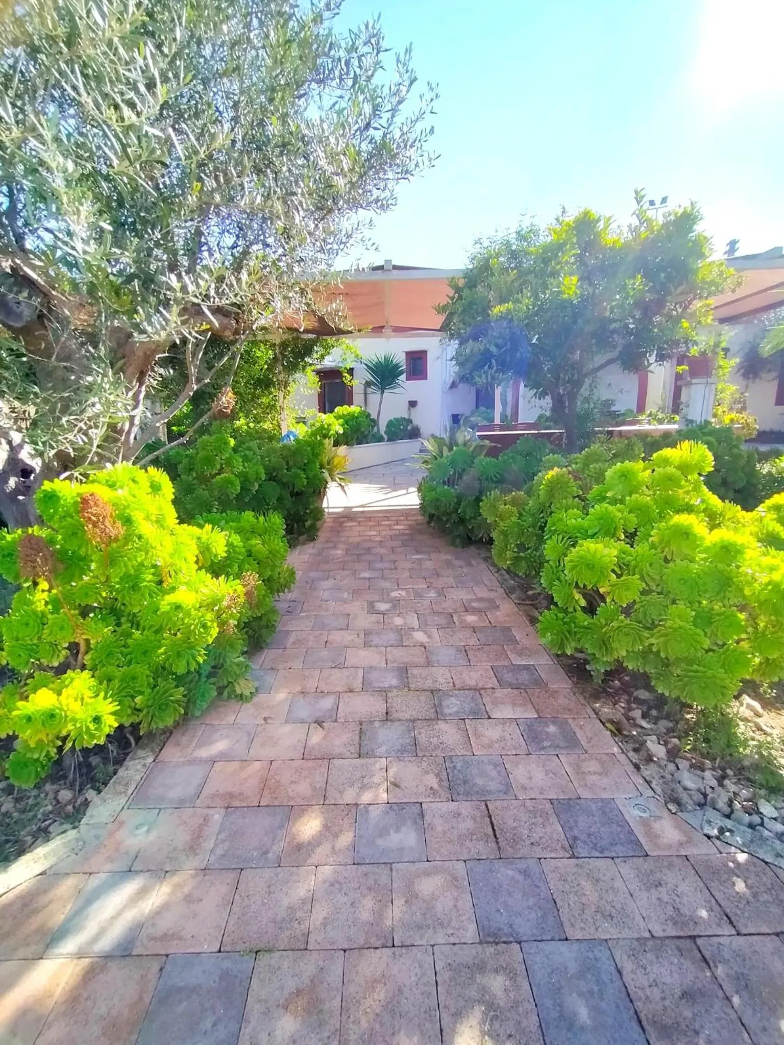 B&B Santa Venardia Gallipoli