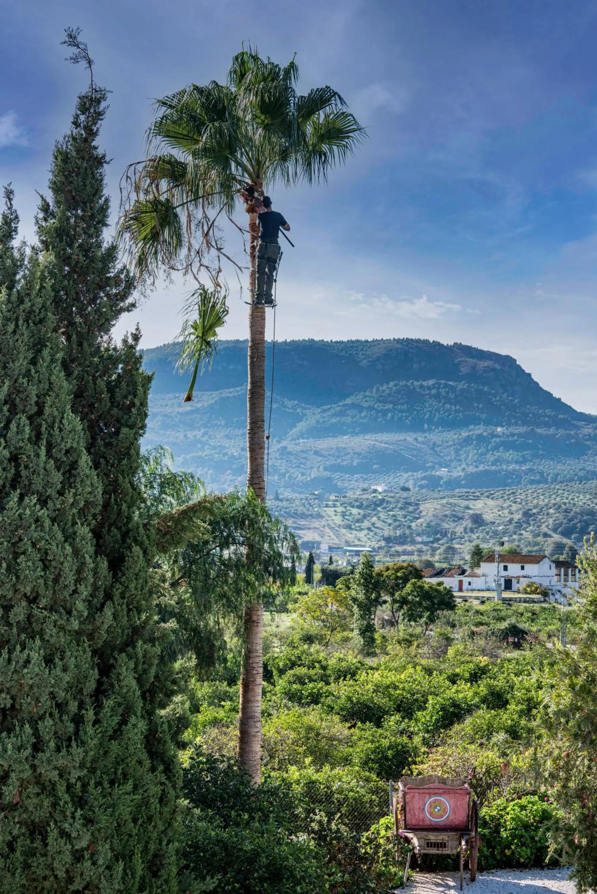 Natural landscape in Finca El Limonar