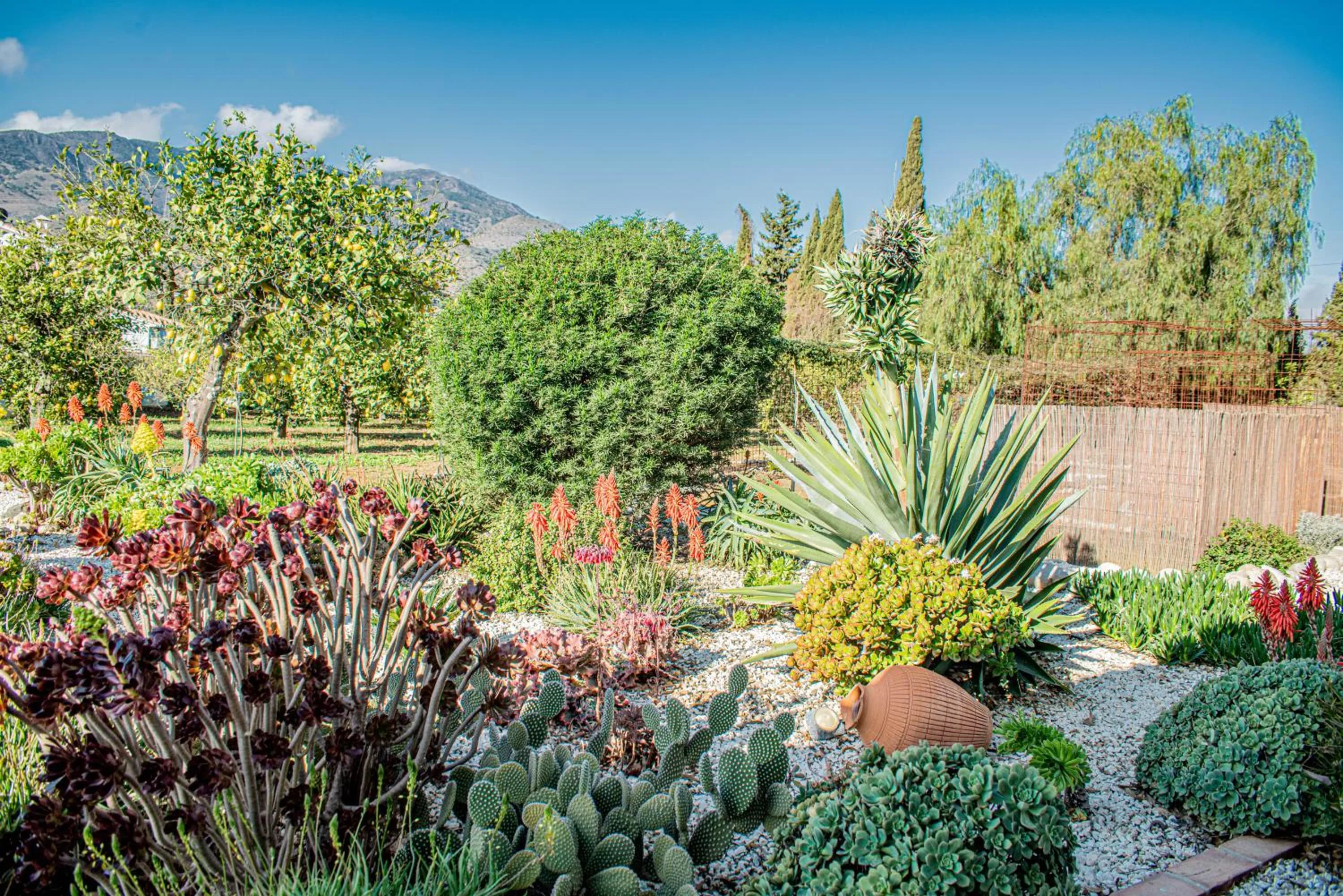 Garden view in Finca El Limonar