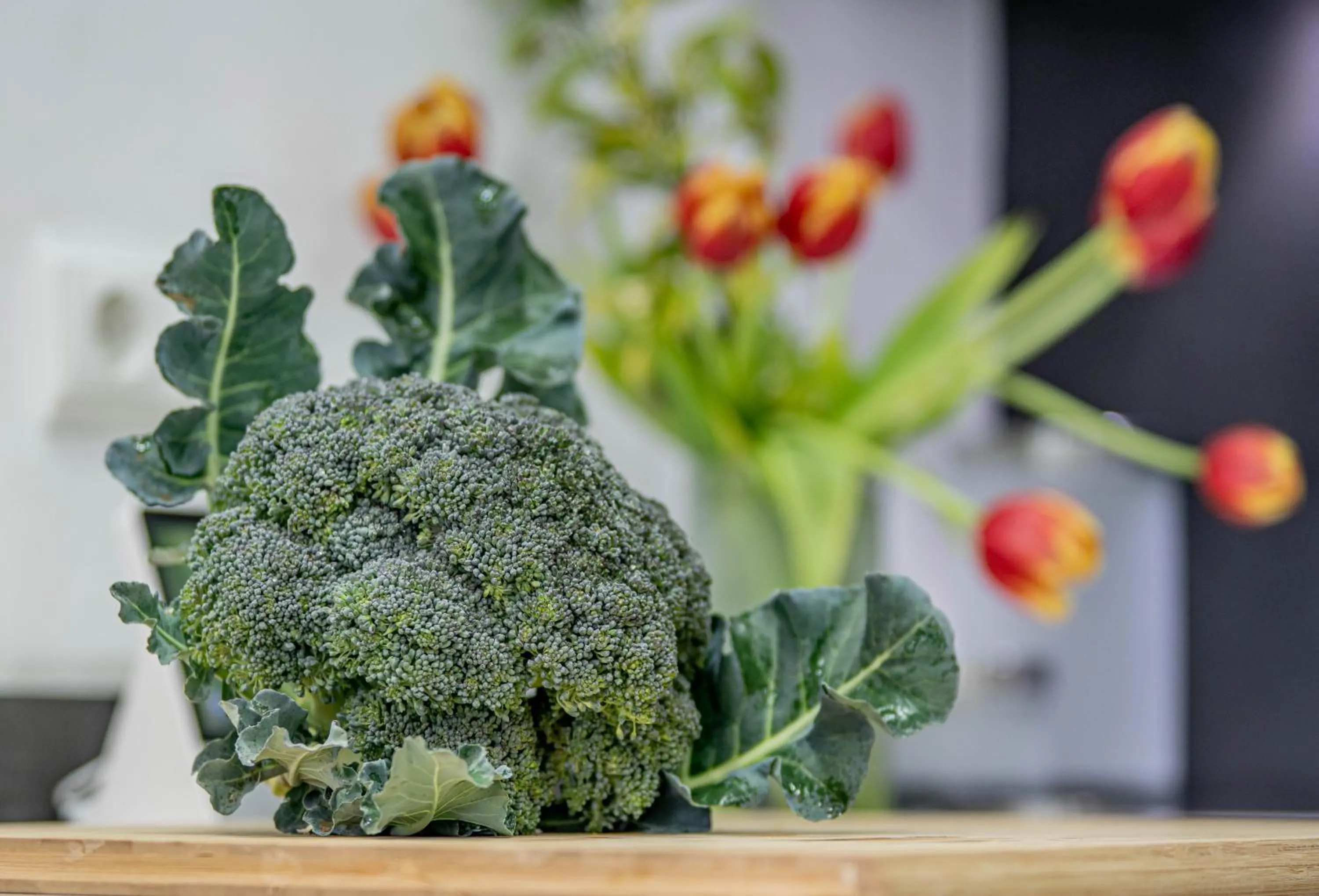 Food in Finca El Limonar