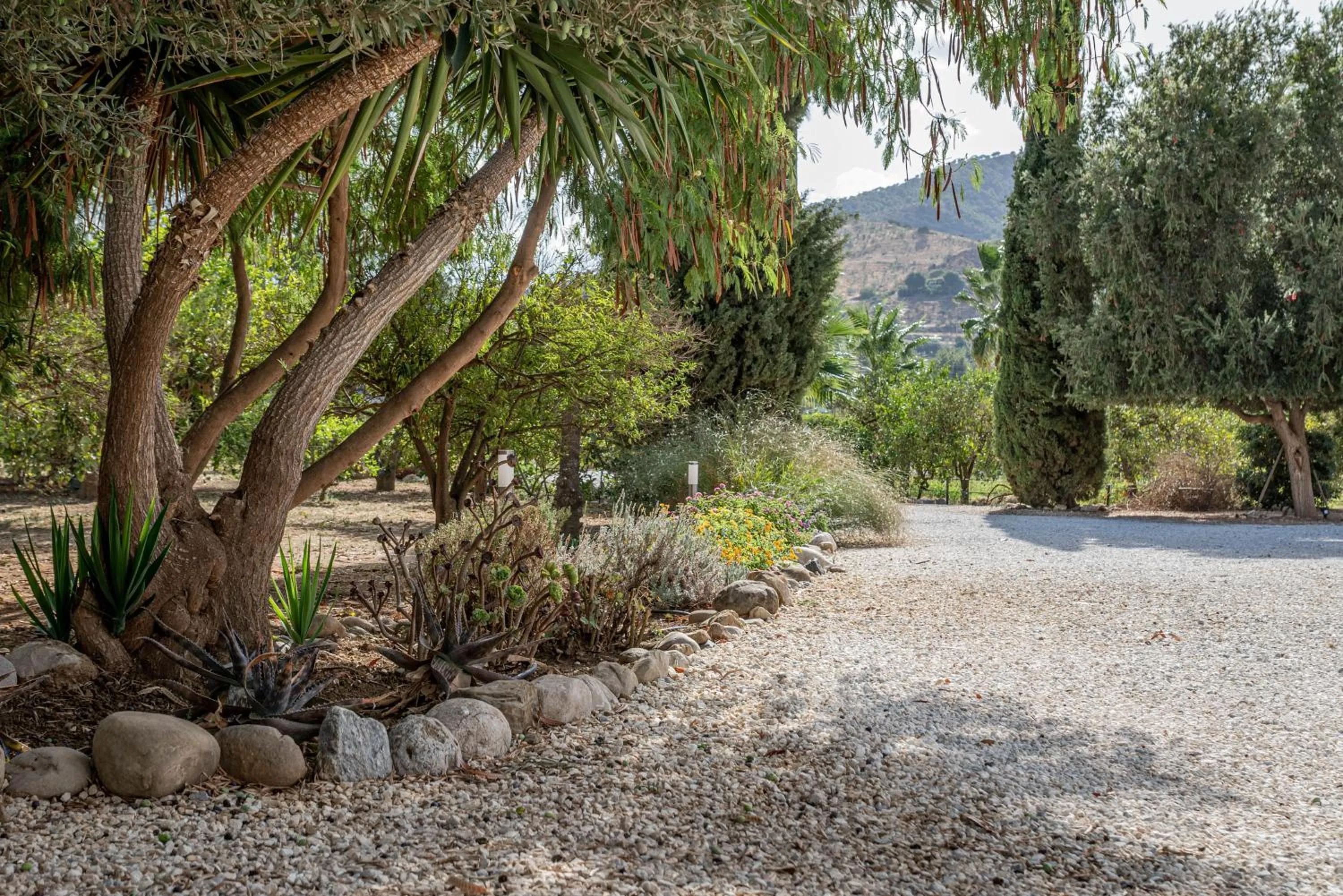 Garden view in Finca El Limonar