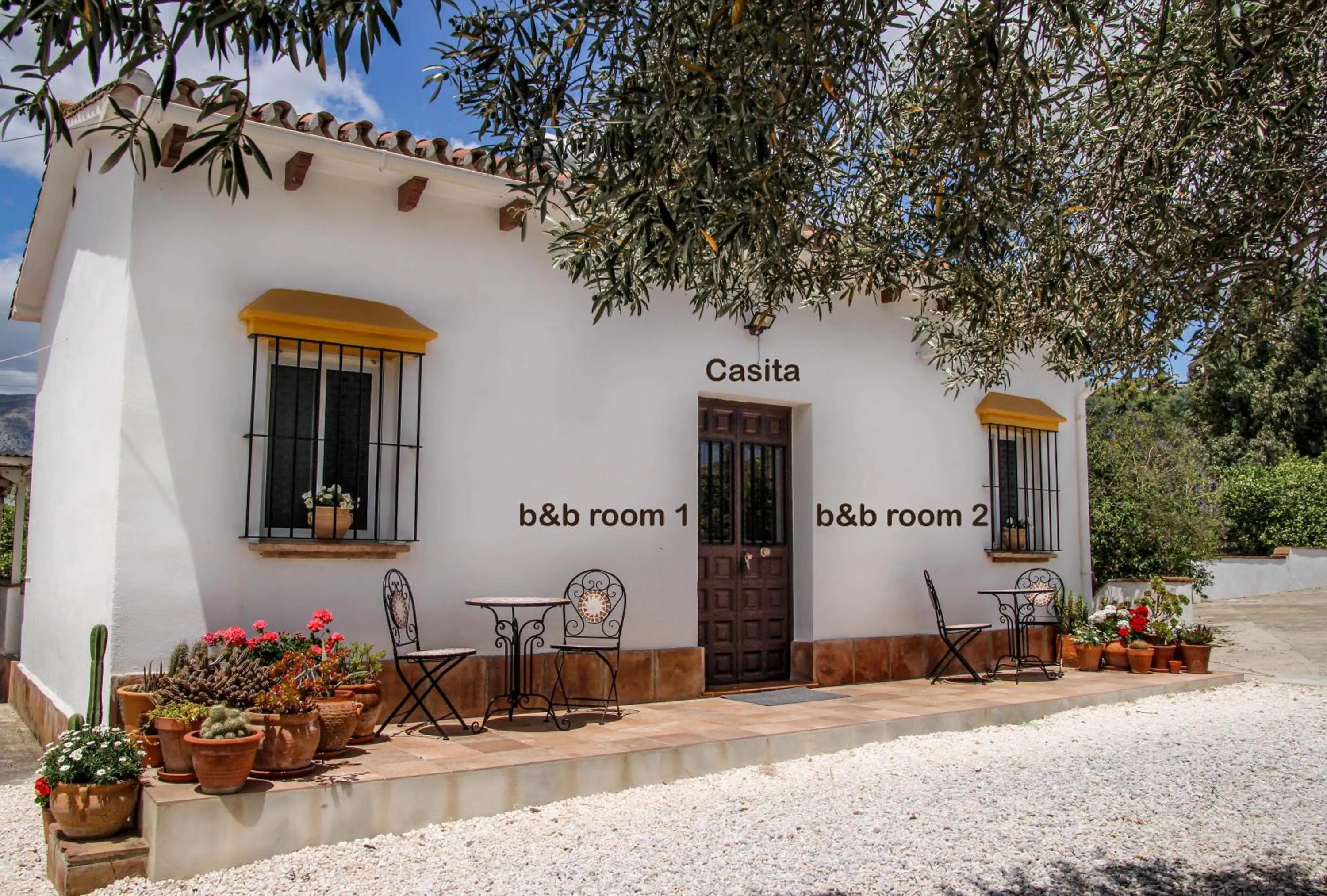 Property building in Finca El Limonar