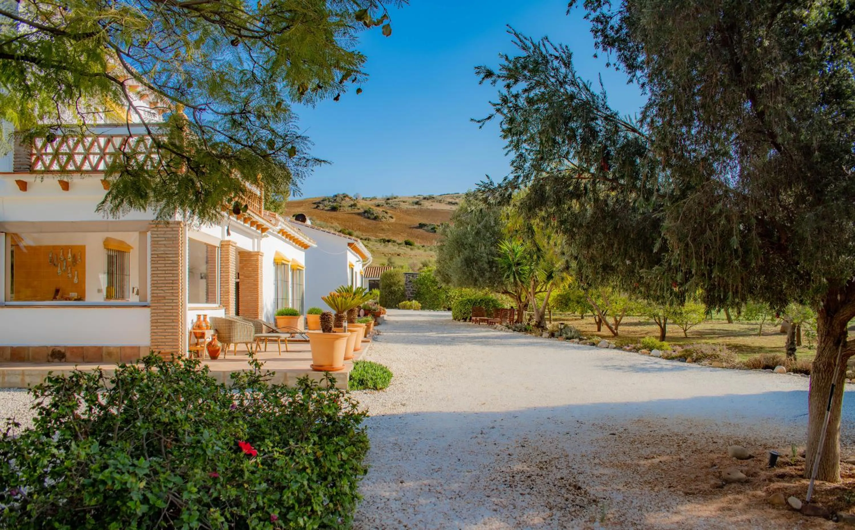 Garden view in Finca El Limonar
