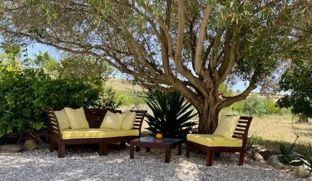 Property building in Finca El Limonar