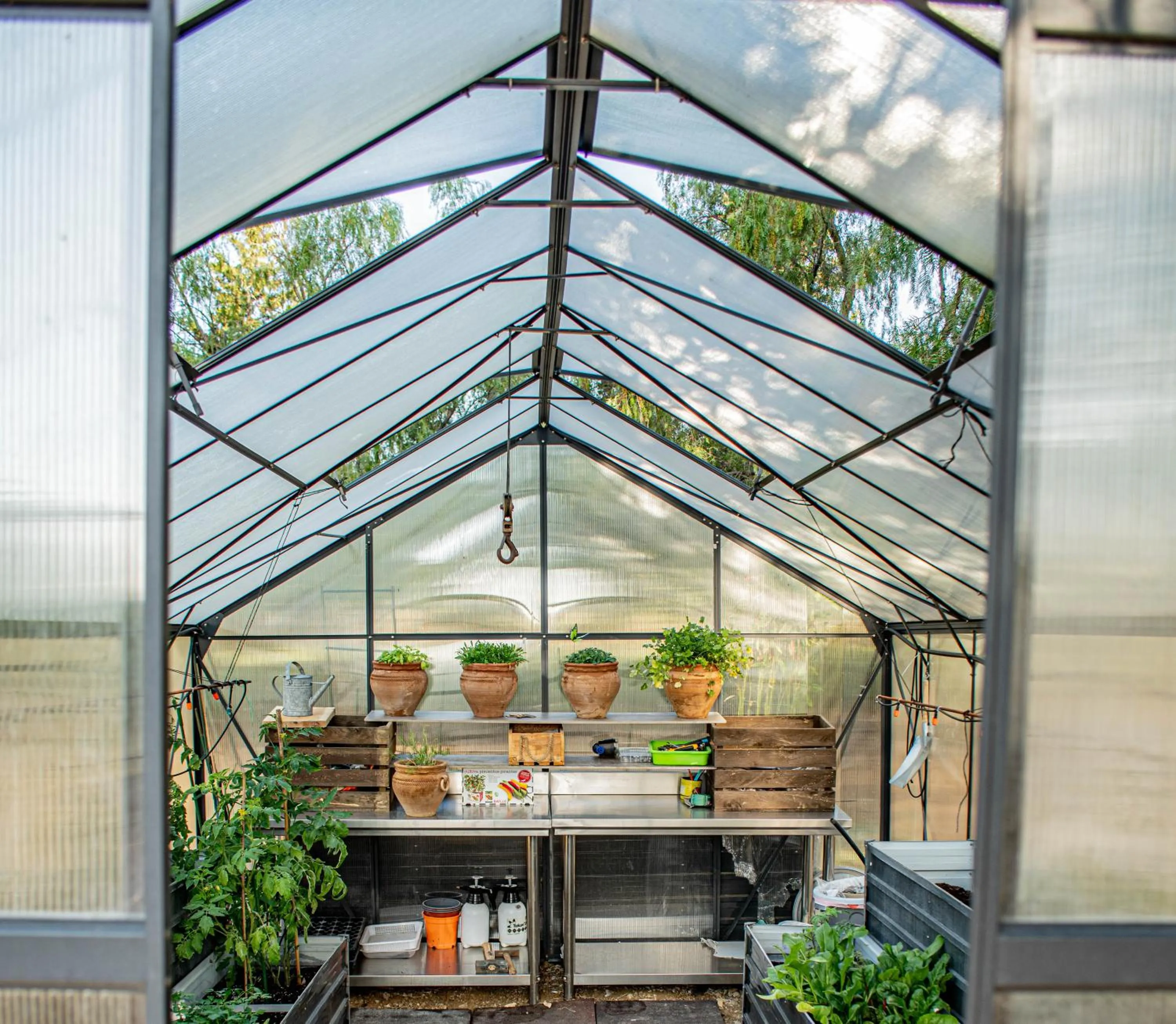 Garden in Finca El Limonar