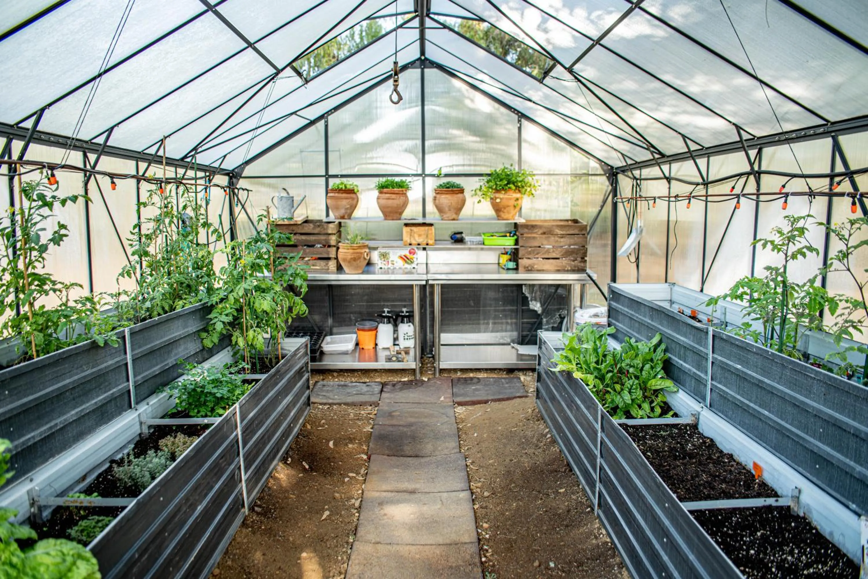 Garden in Finca El Limonar