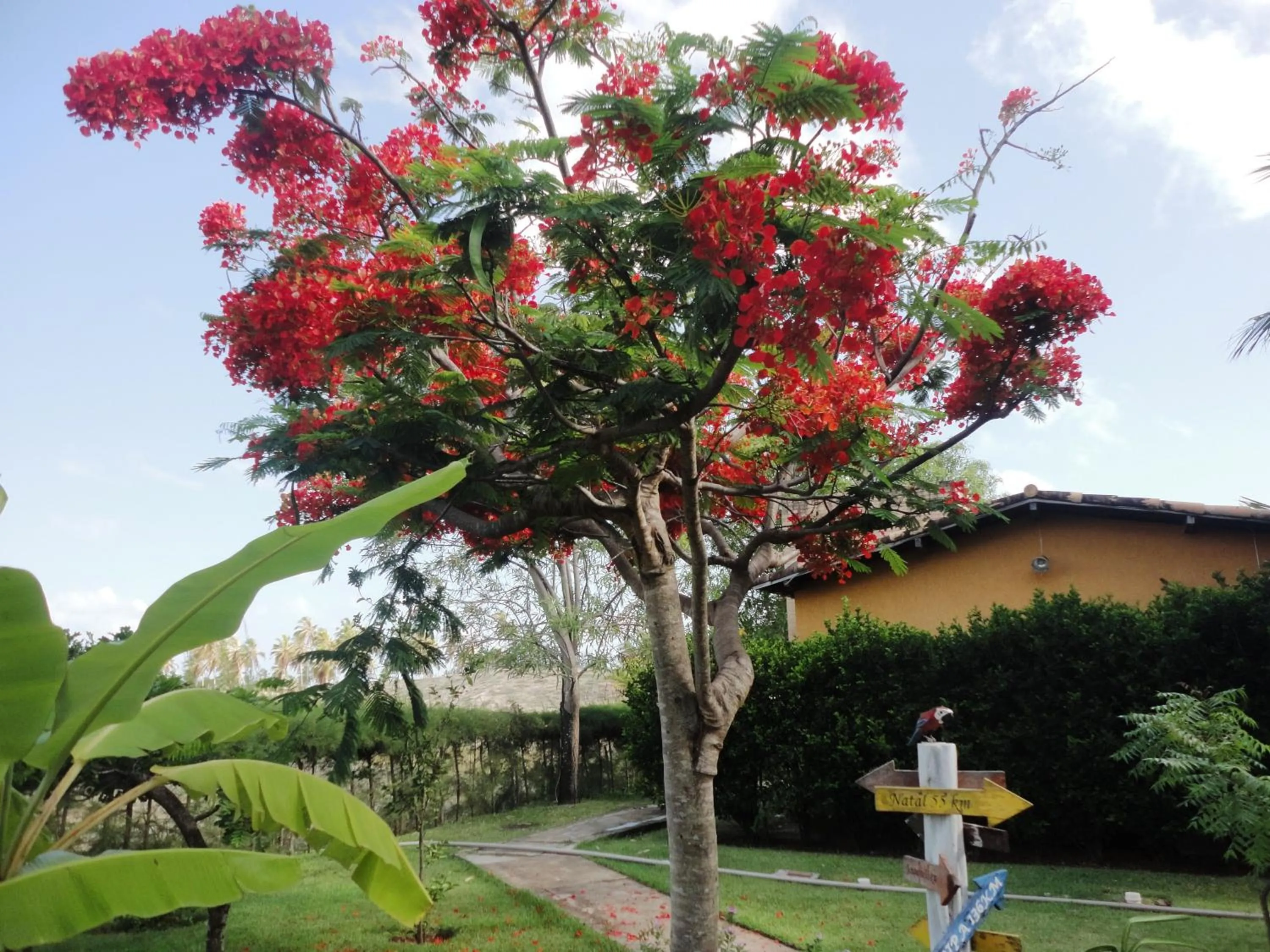 Garden in Hotel Enseada Maracajaú