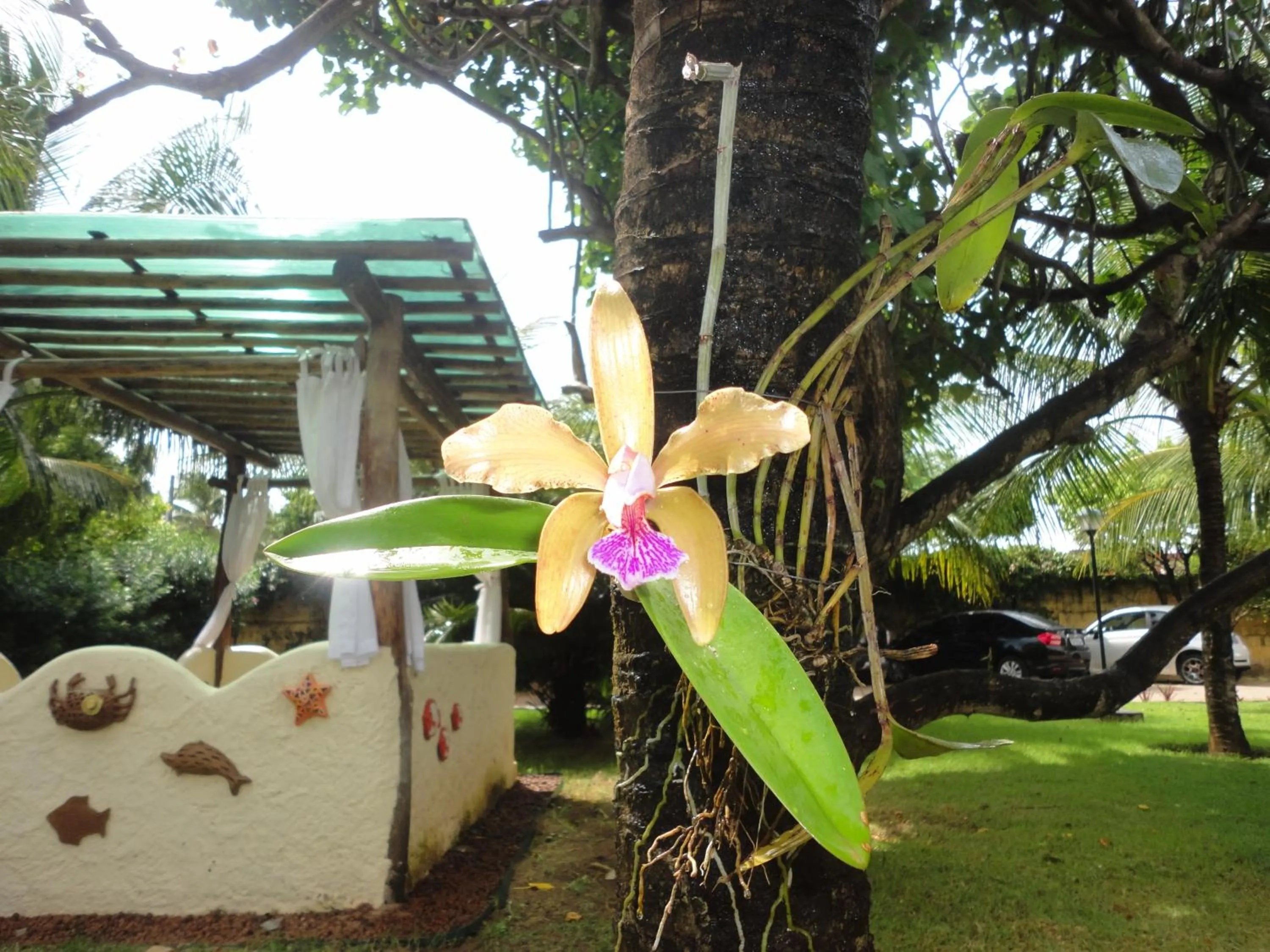 Garden in Hotel Enseada Maracajaú