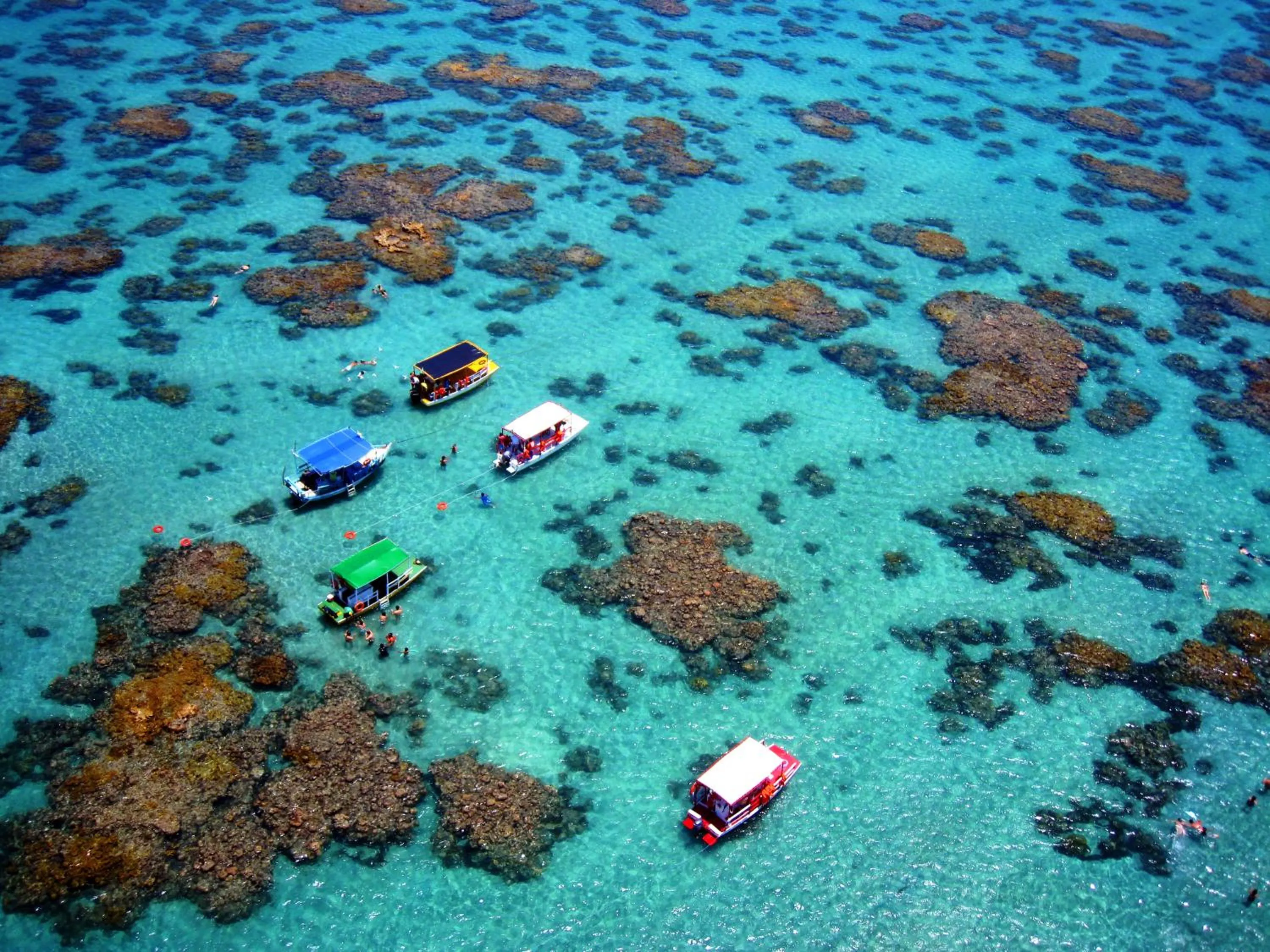 Diving in Hotel Enseada Maracajaú