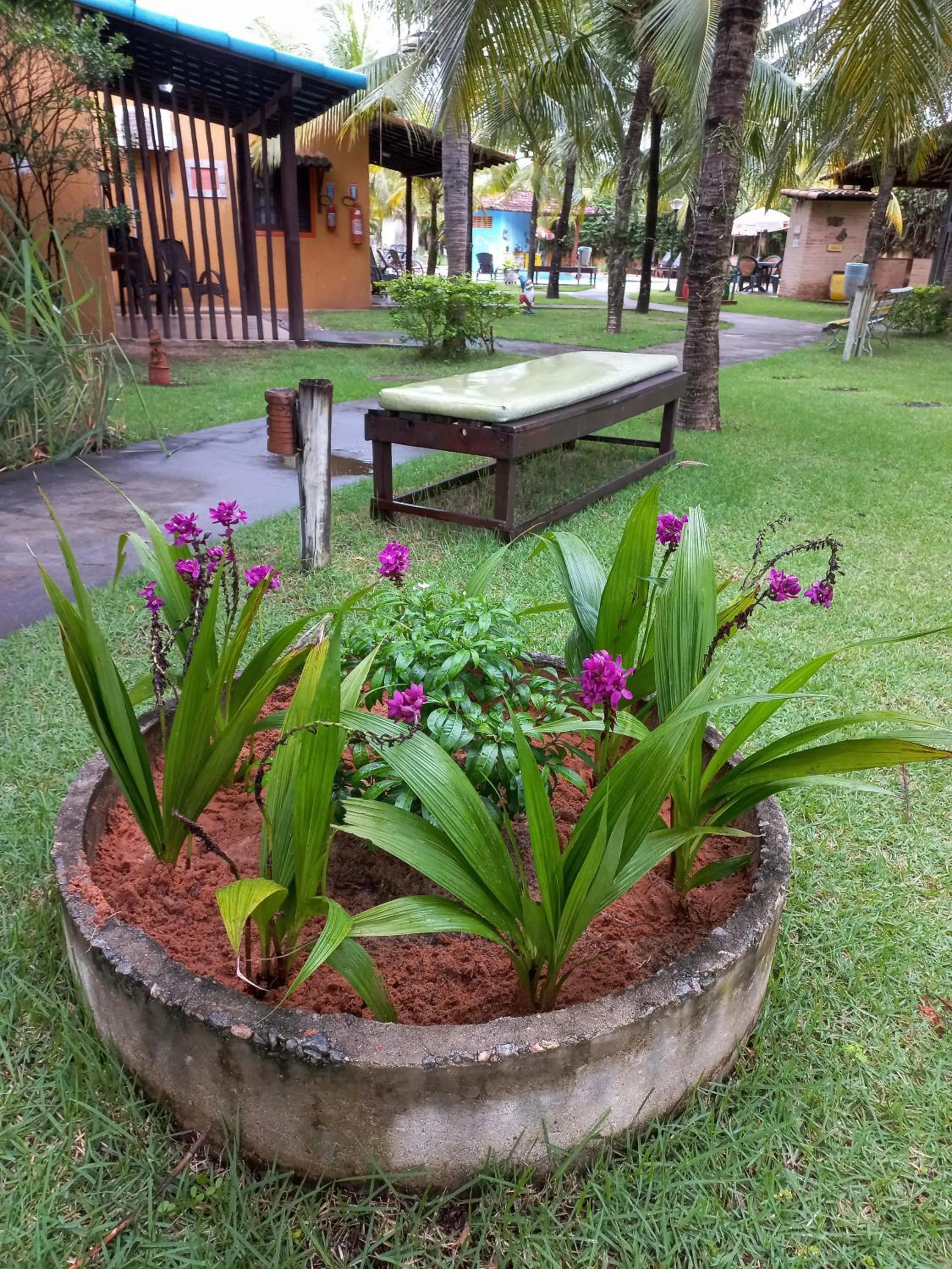 Garden in Hotel Enseada Maracajaú