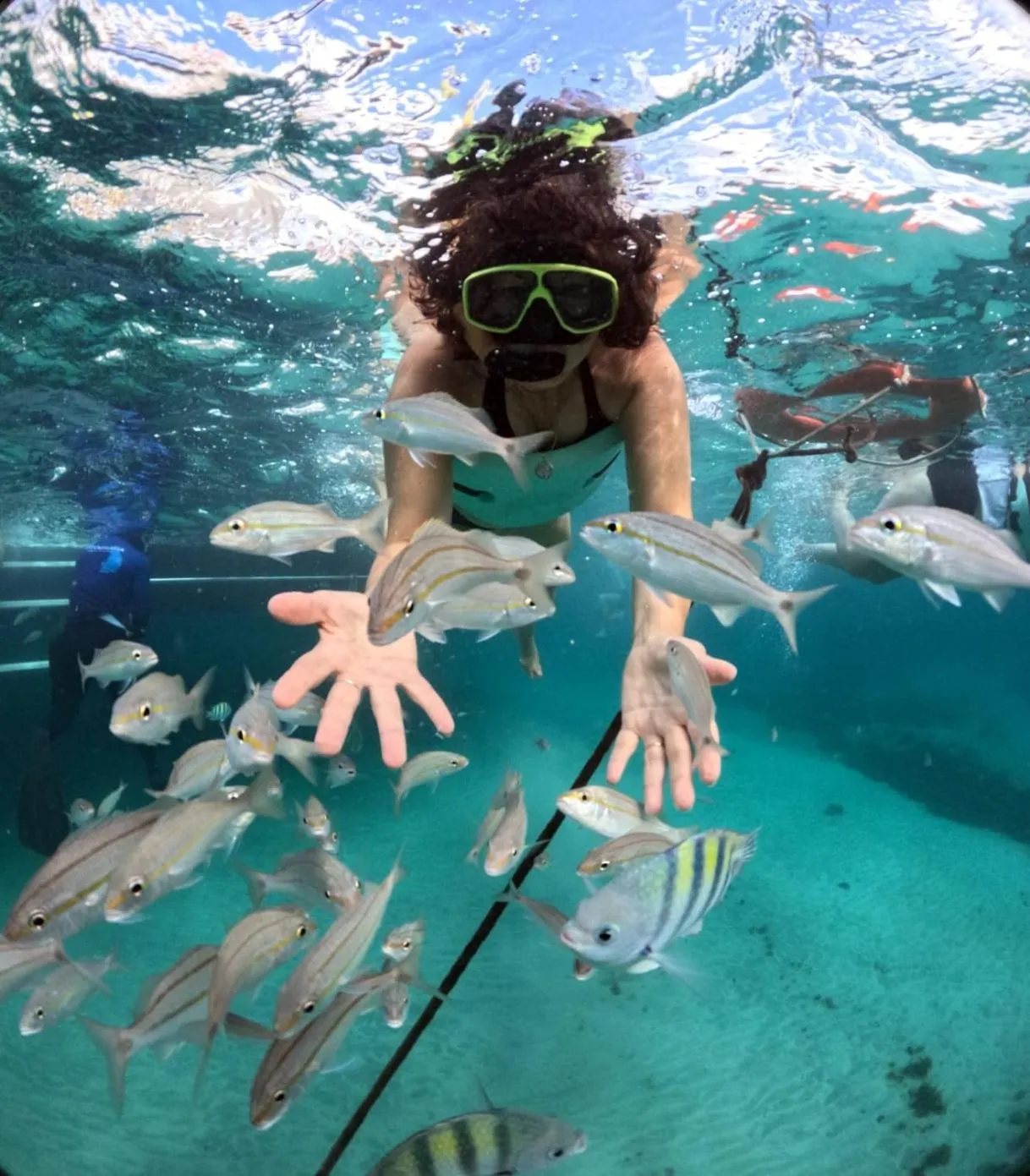 Natural landscape in Hotel Enseada Maracajaú
